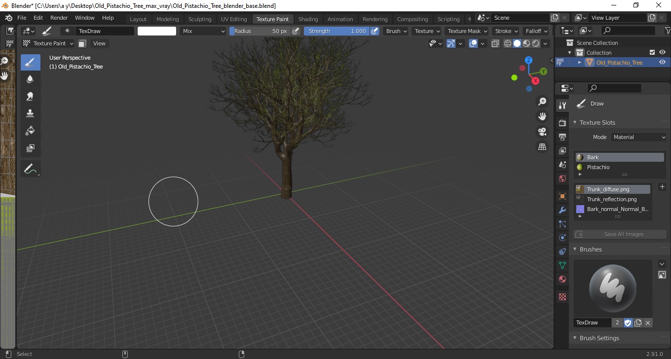 3D Old Pistachio Tree model