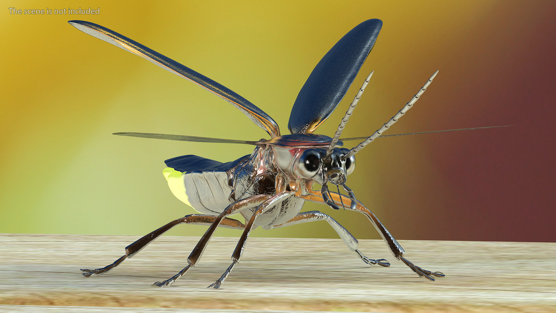 Eastern Firefly Glowing Basic Pose 3D model