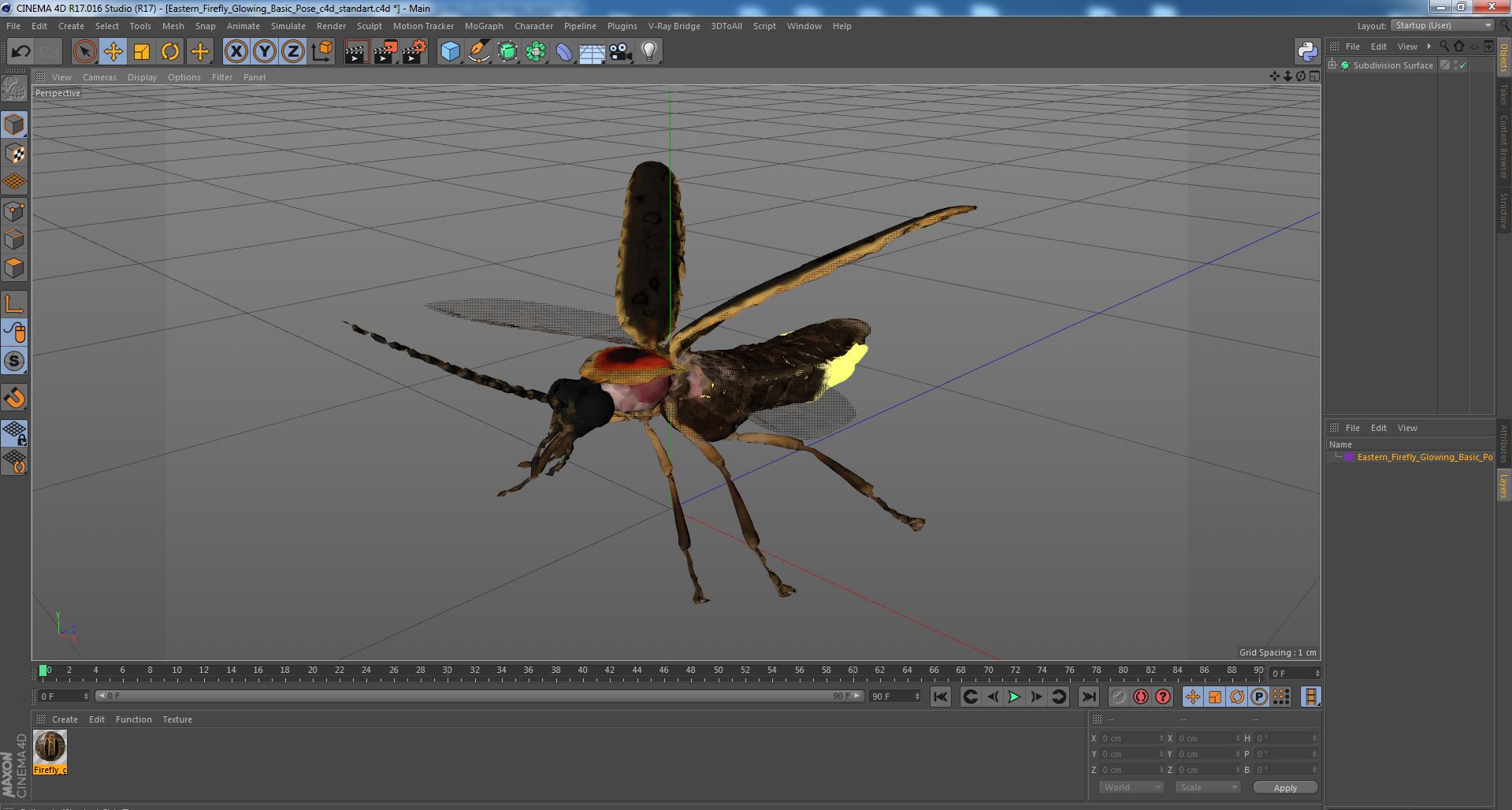 Eastern Firefly Glowing Basic Pose 3D model