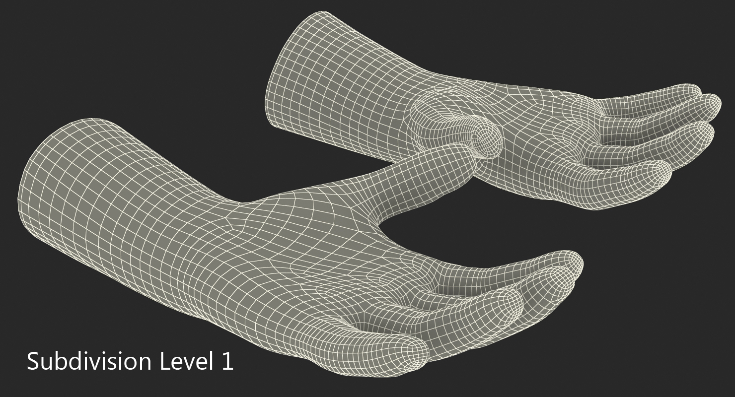 Winter Sport Gloves 3D model