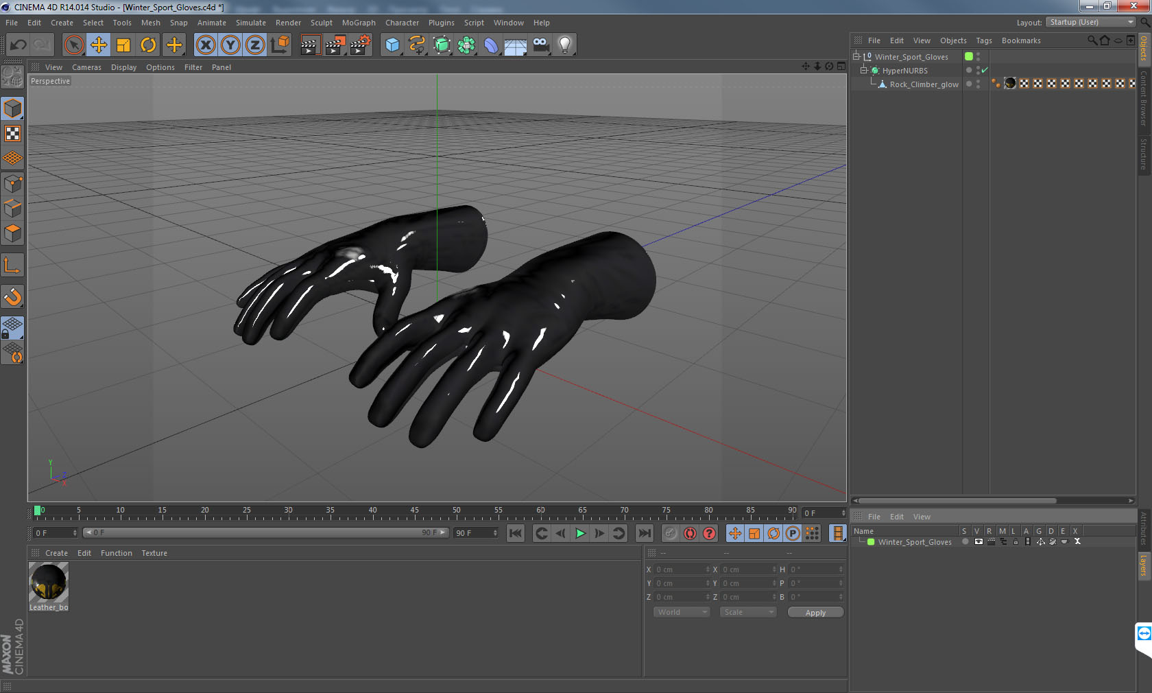 Winter Sport Gloves 3D model