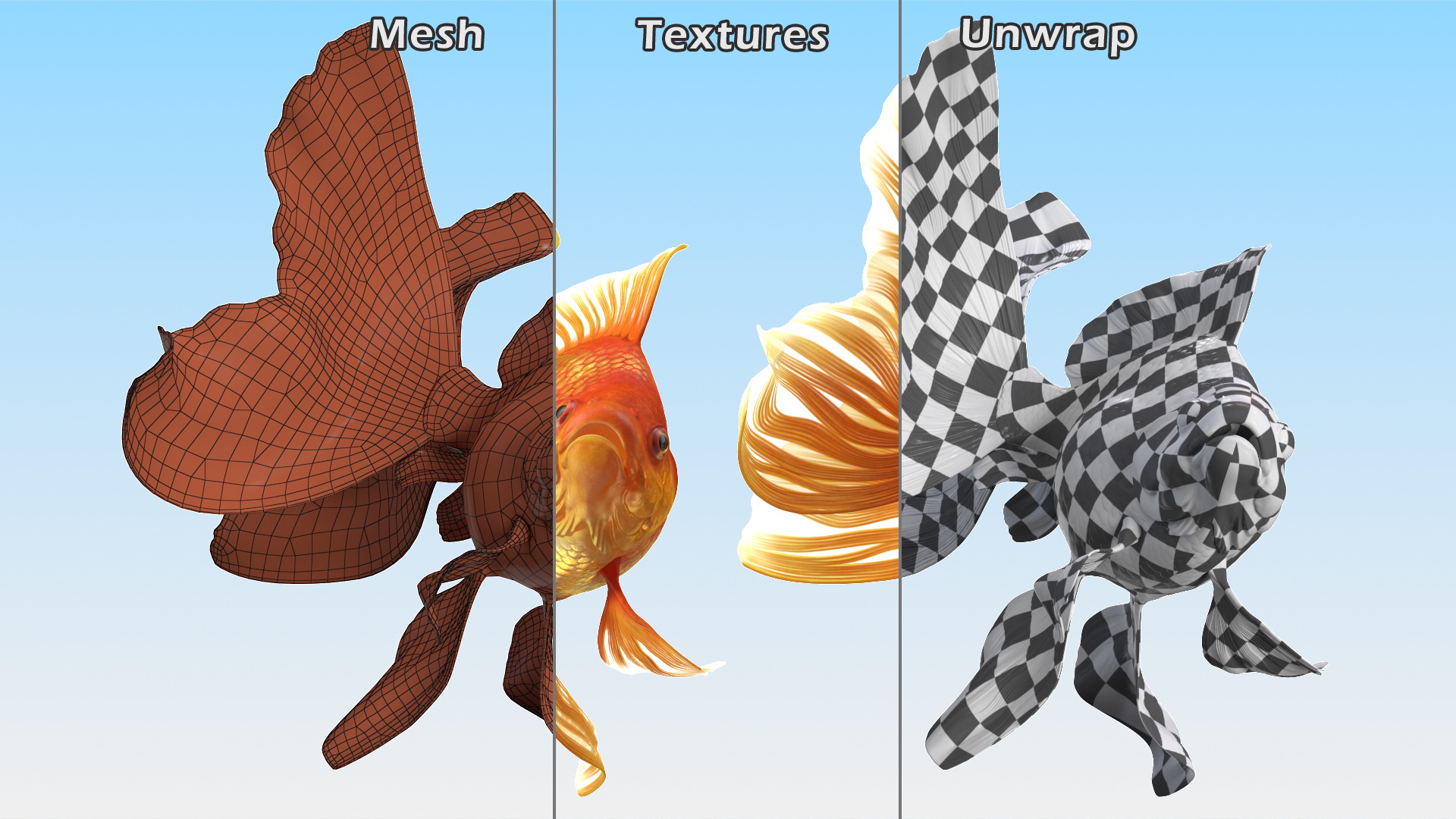 Orange Fancy Fantail Goldfish Swim 3D model