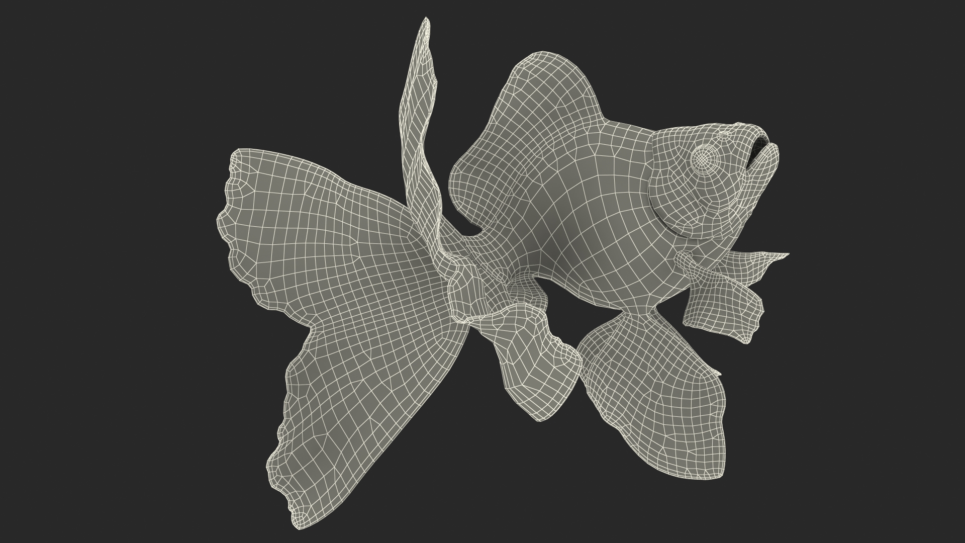 Orange Fancy Fantail Goldfish Swim 3D model