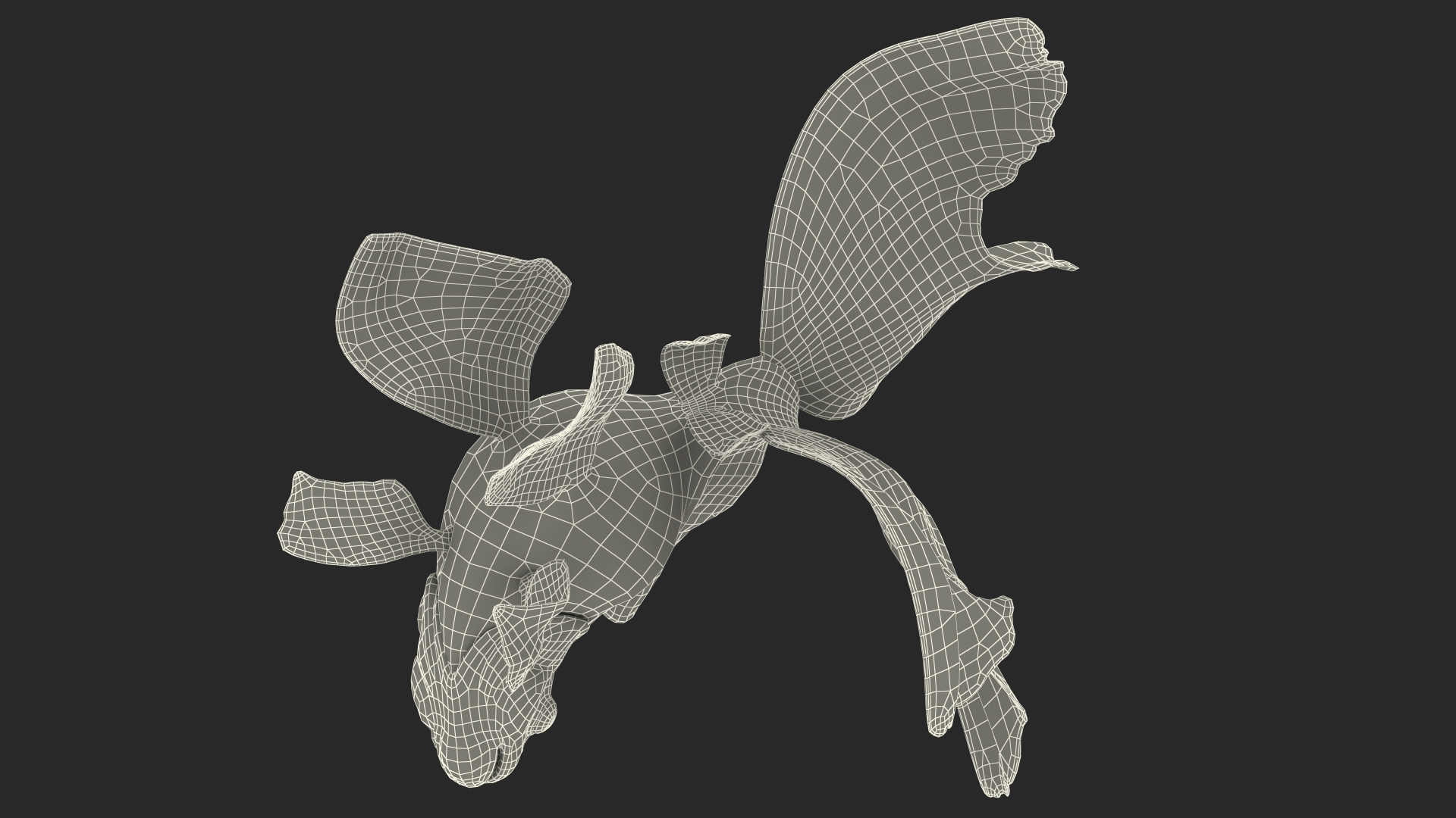 Orange Fancy Fantail Goldfish Swim 3D model