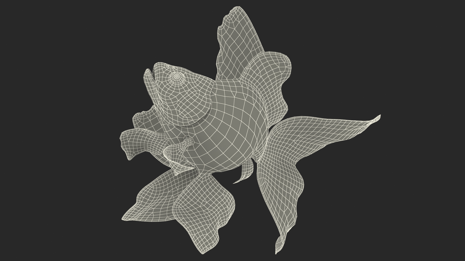 Orange Fancy Fantail Goldfish Swim 3D model