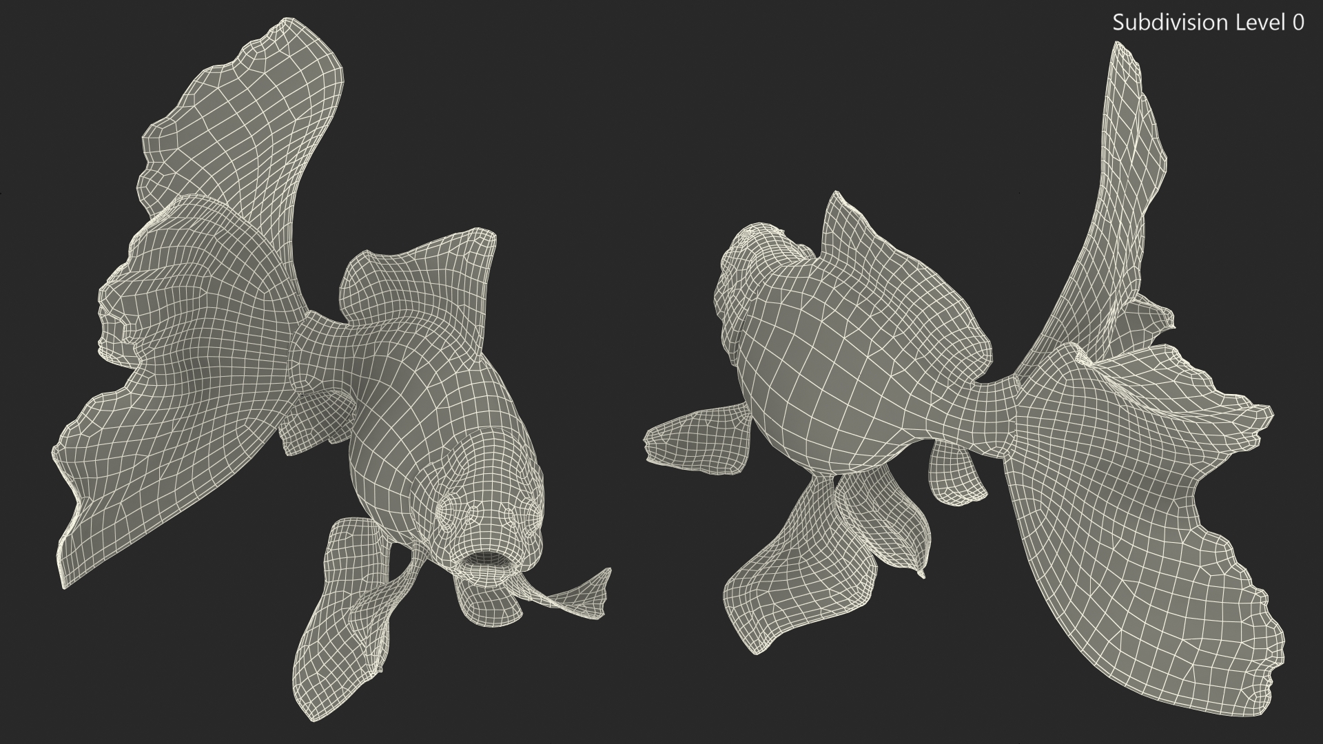 Orange Fancy Fantail Goldfish Swim 3D model