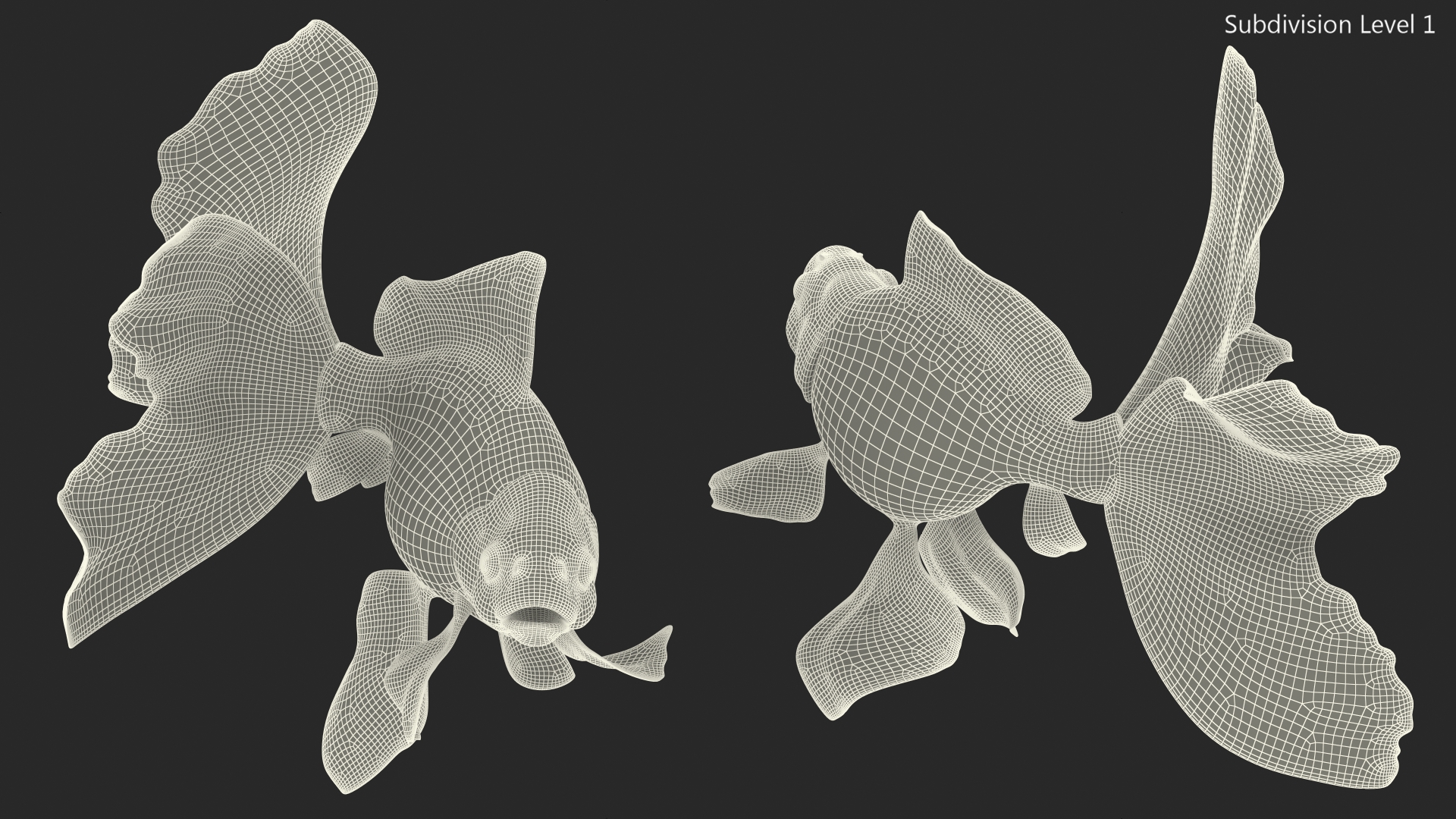 Orange Fancy Fantail Goldfish Swim 3D model