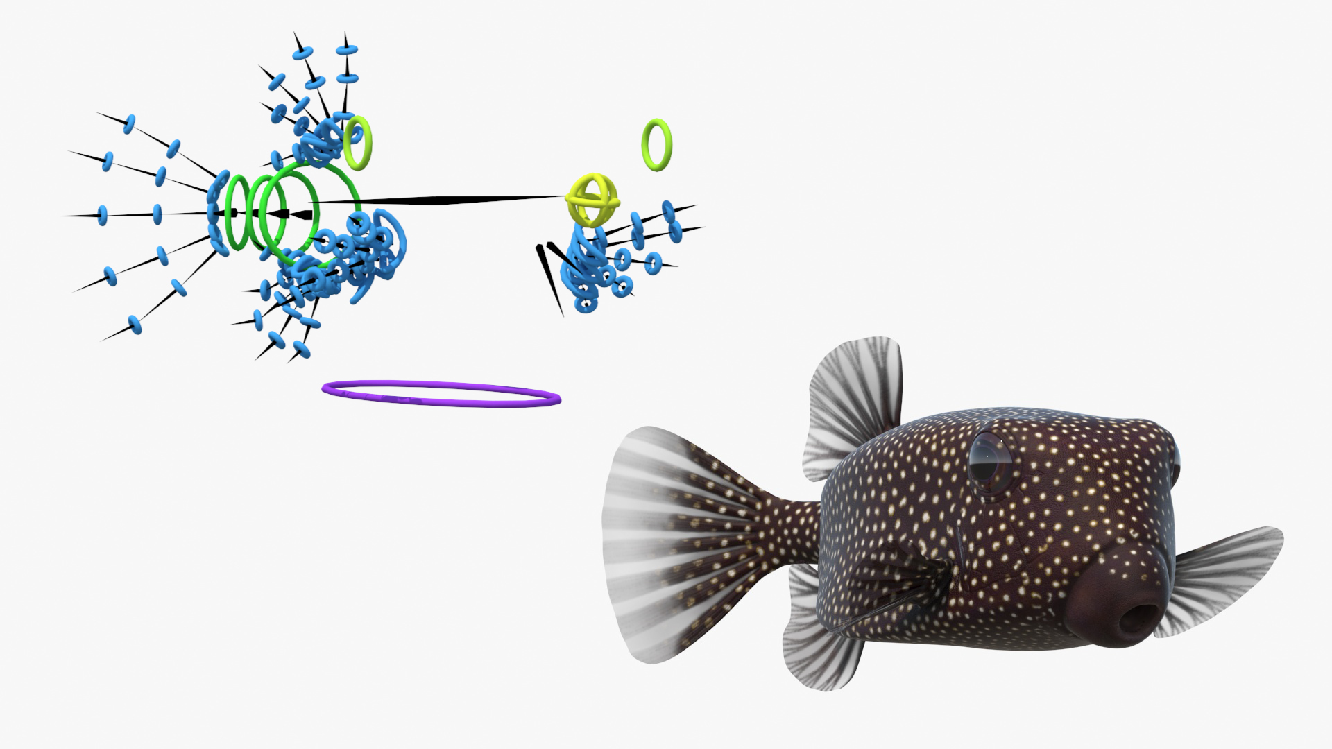 Ostracion Meleagris Fish Brown Rigged 3D