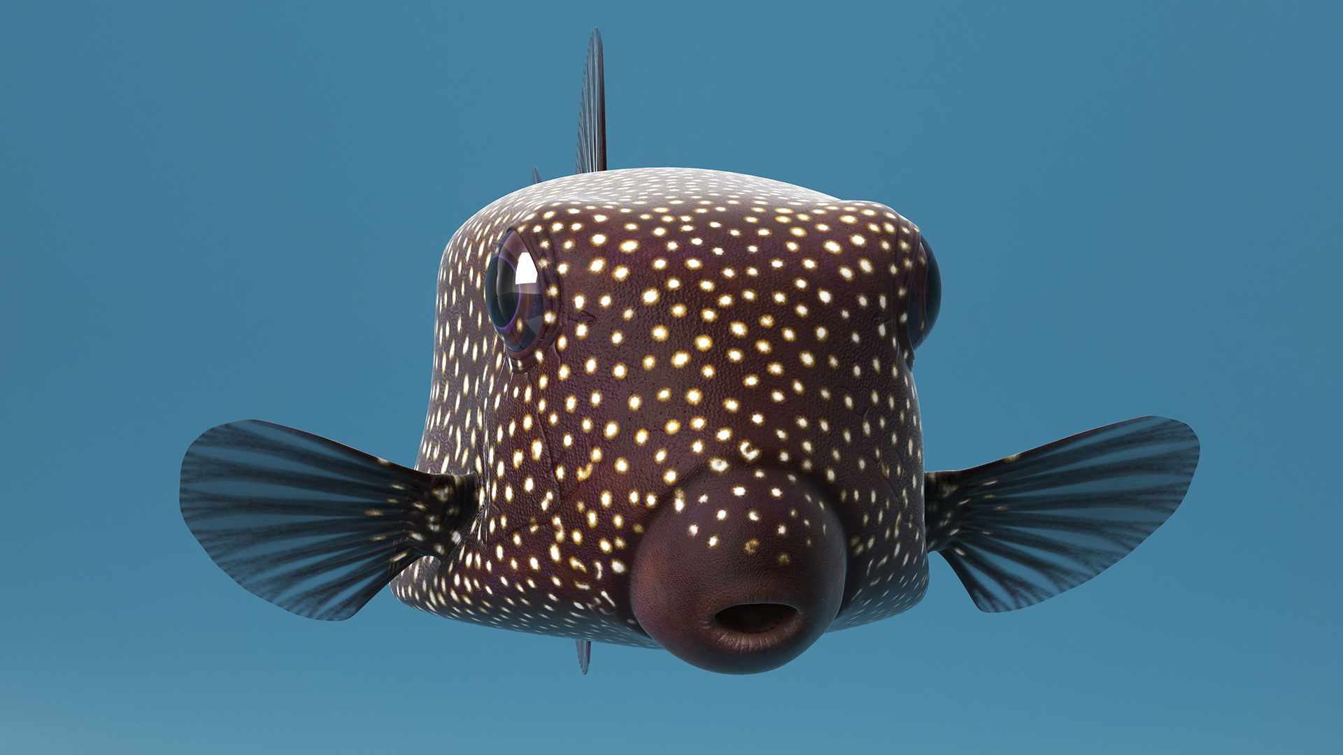 Ostracion Meleagris Fish Brown Rigged 3D
