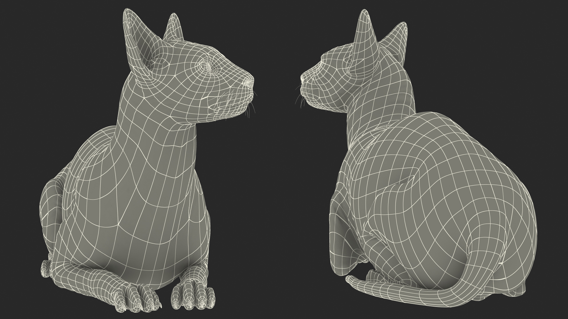 Bicolor Sphynx Cat Lying Pose 3D model