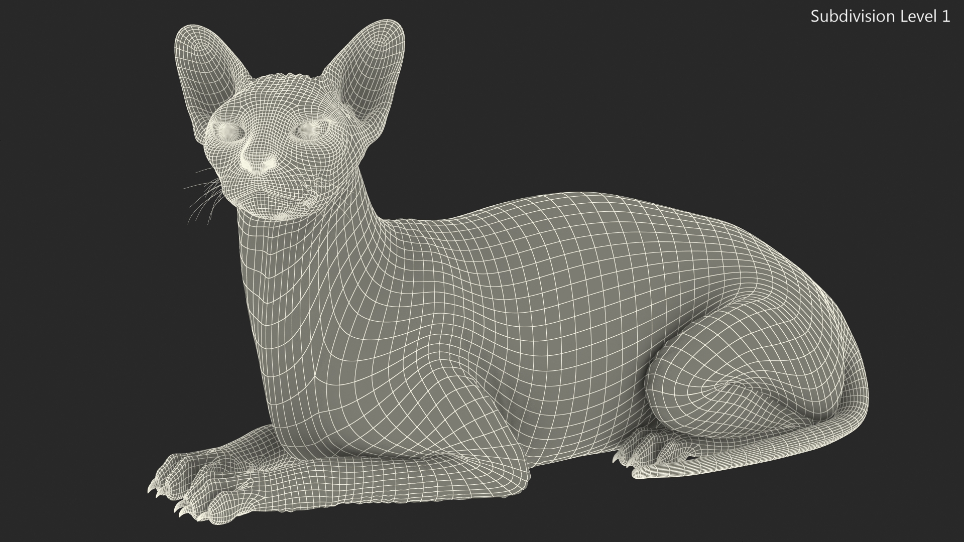 Bicolor Sphynx Cat Lying Pose 3D model