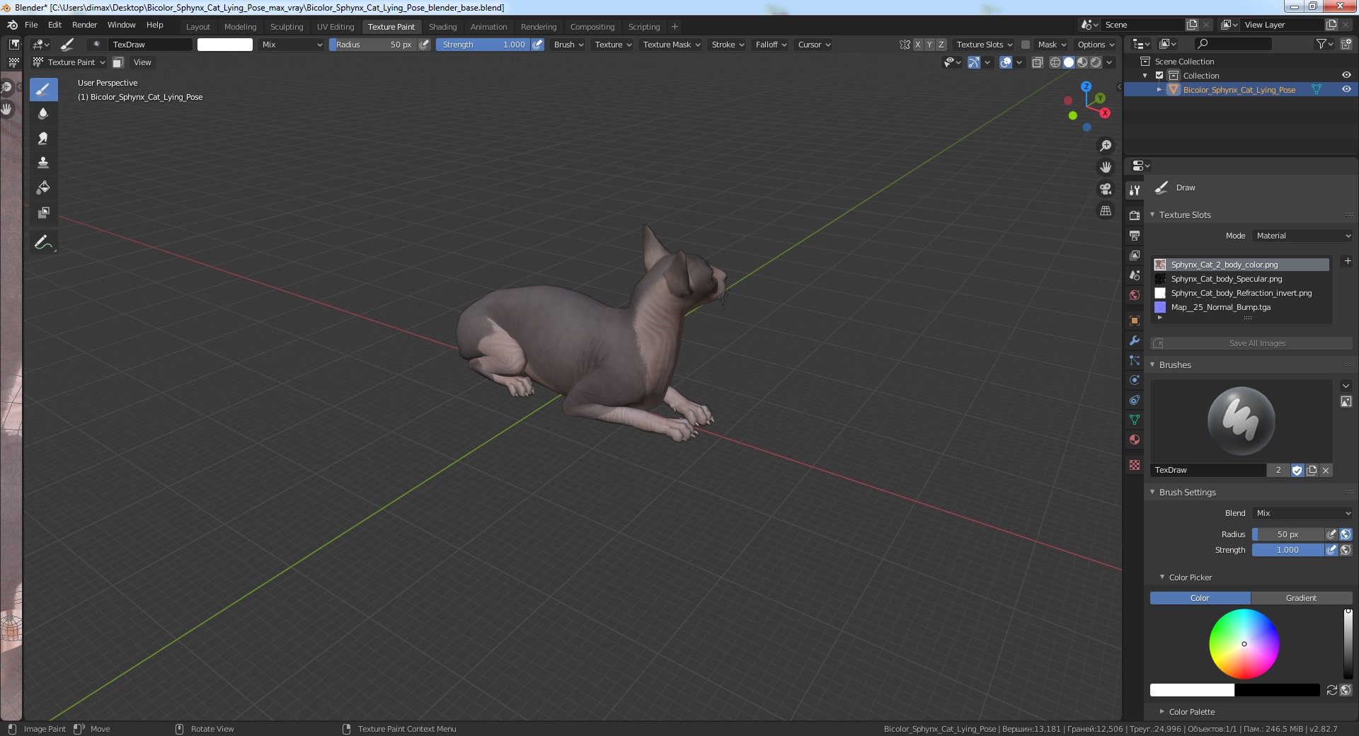 Bicolor Sphynx Cat Lying Pose 3D model
