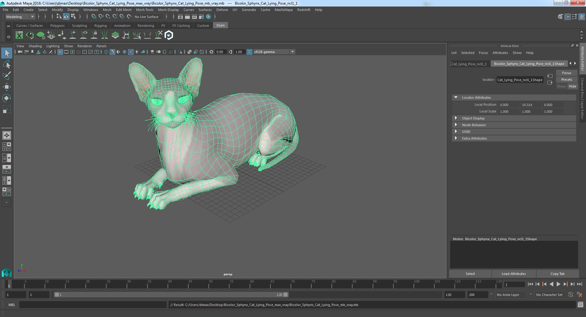 Bicolor Sphynx Cat Lying Pose 3D model