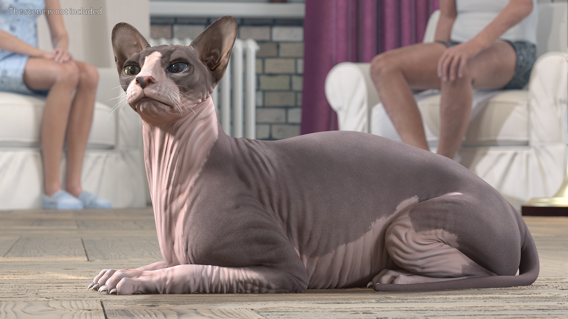 Bicolor Sphynx Cat Lying Pose 3D model
