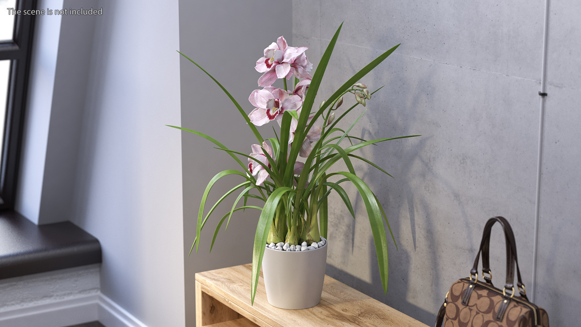 3D Orchid Pot Flower Pink Fur