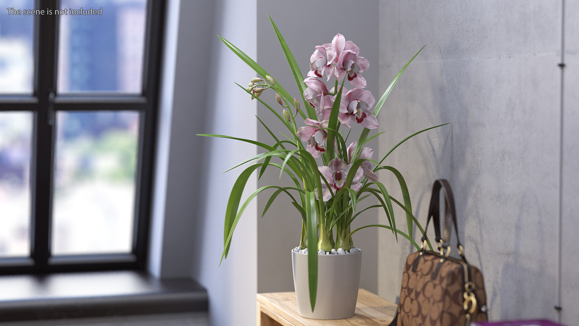 3D Orchid Pot Flower Pink Fur
