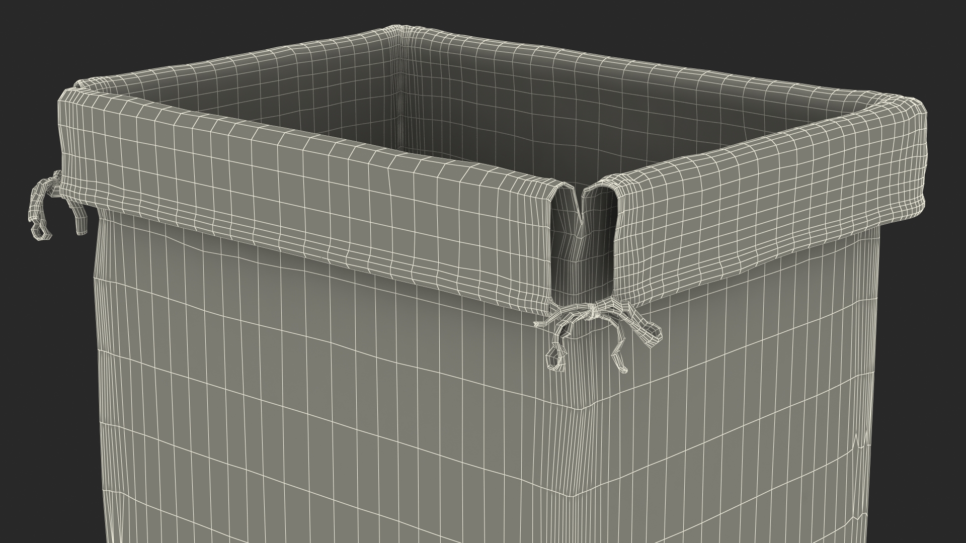 3D model Laundry Hamper Liner