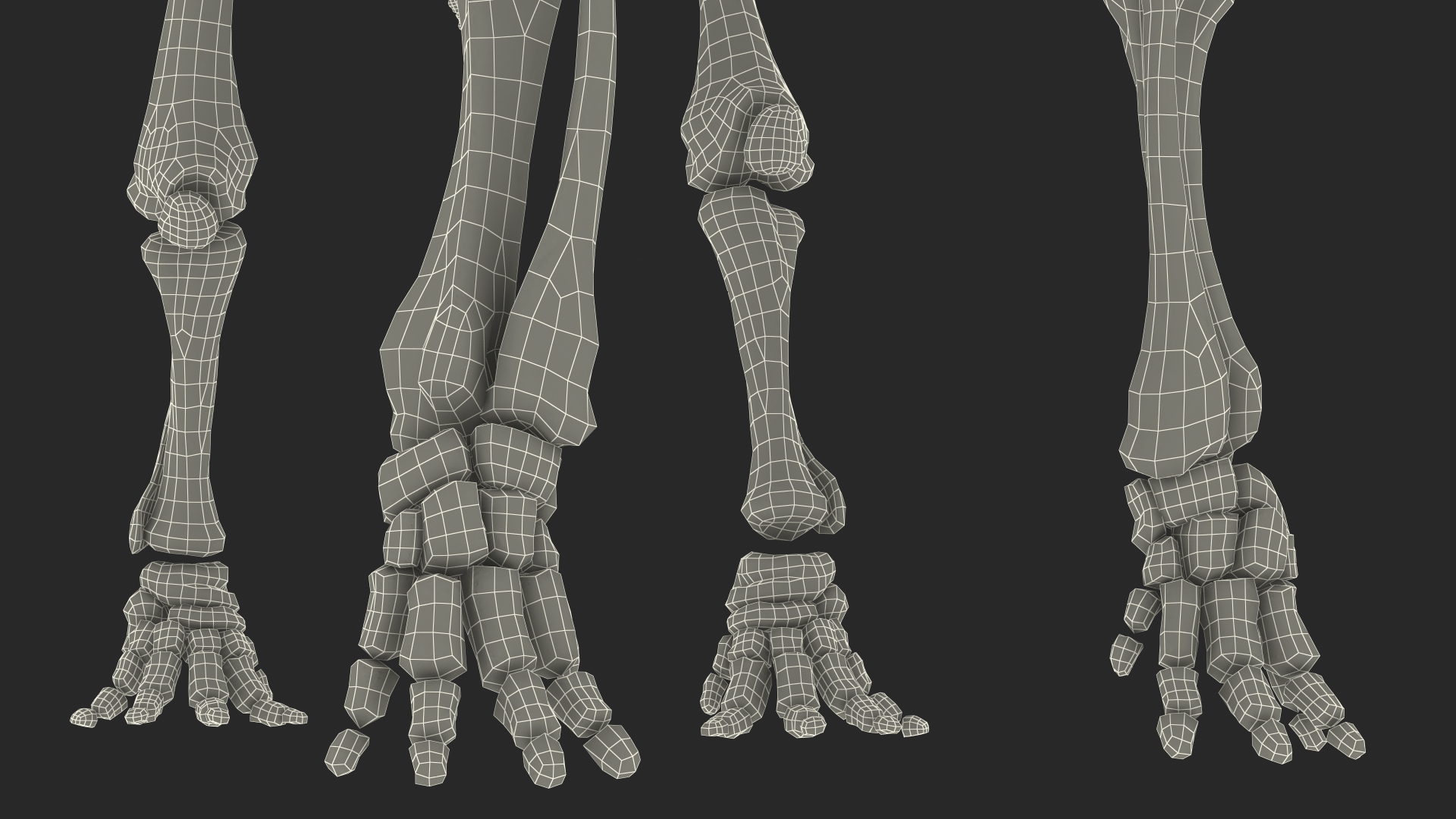 3D model Mammoth Skeleton Old Bones Standing Pose