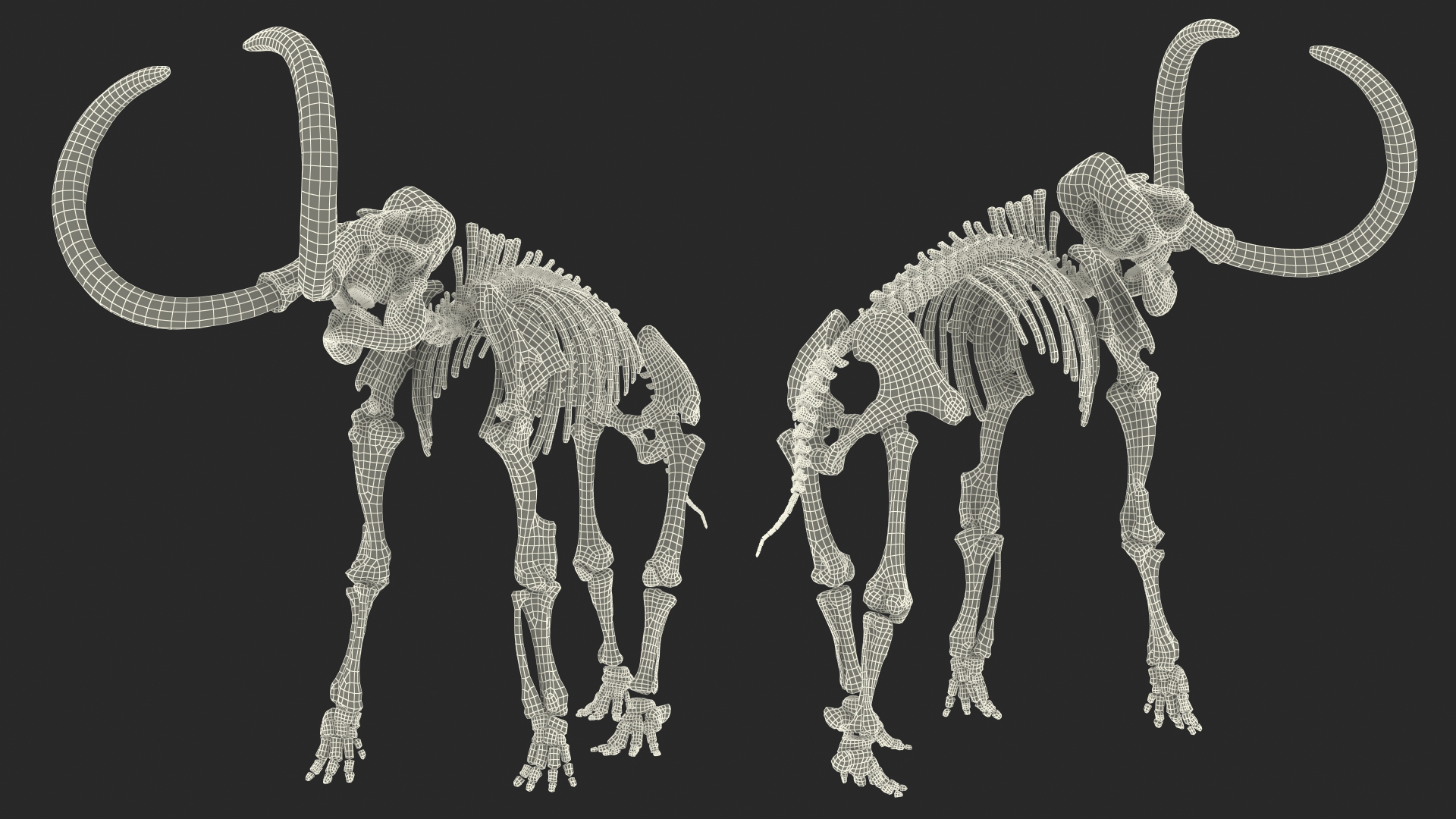 3D model Mammoth Skeleton Old Bones Standing Pose