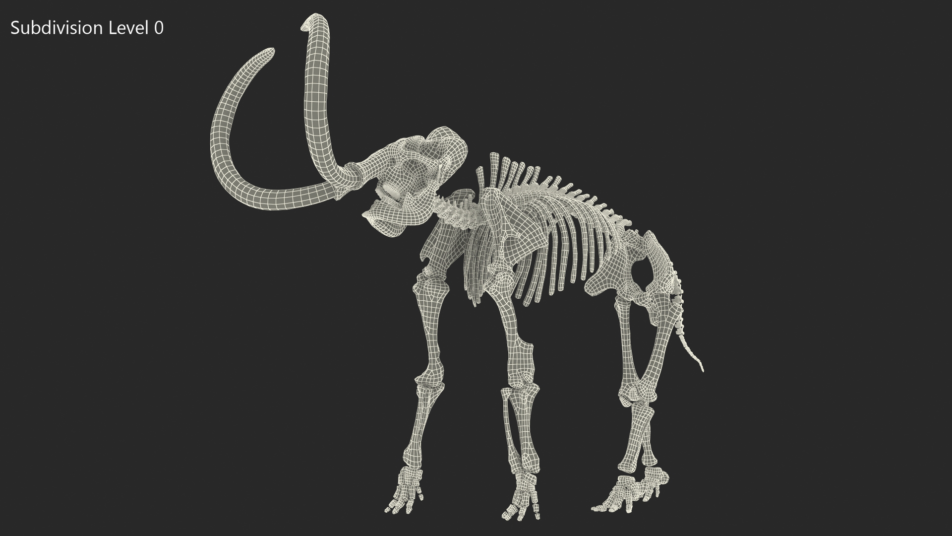 3D model Mammoth Skeleton Old Bones Standing Pose