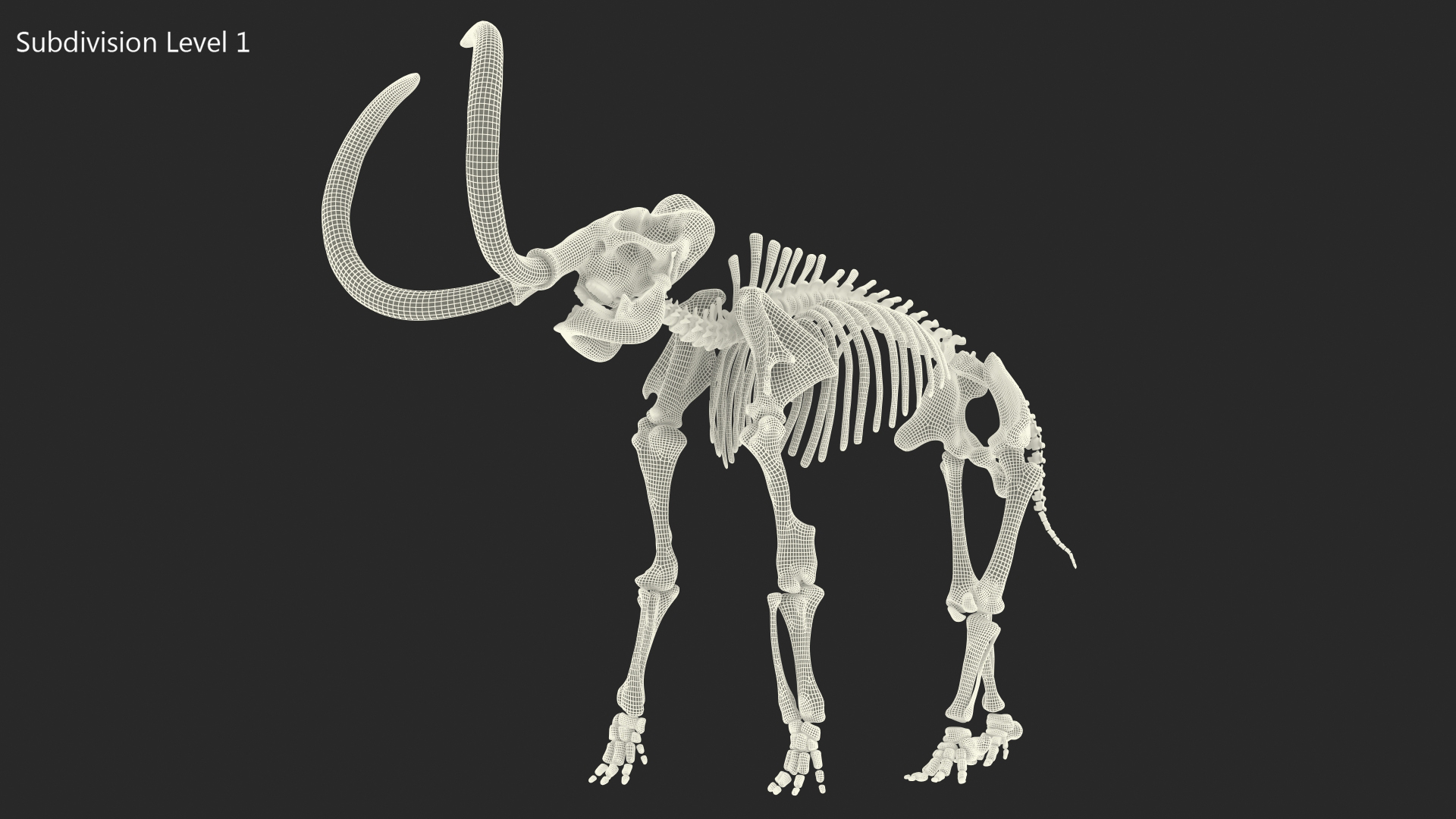 3D model Mammoth Skeleton Old Bones Standing Pose