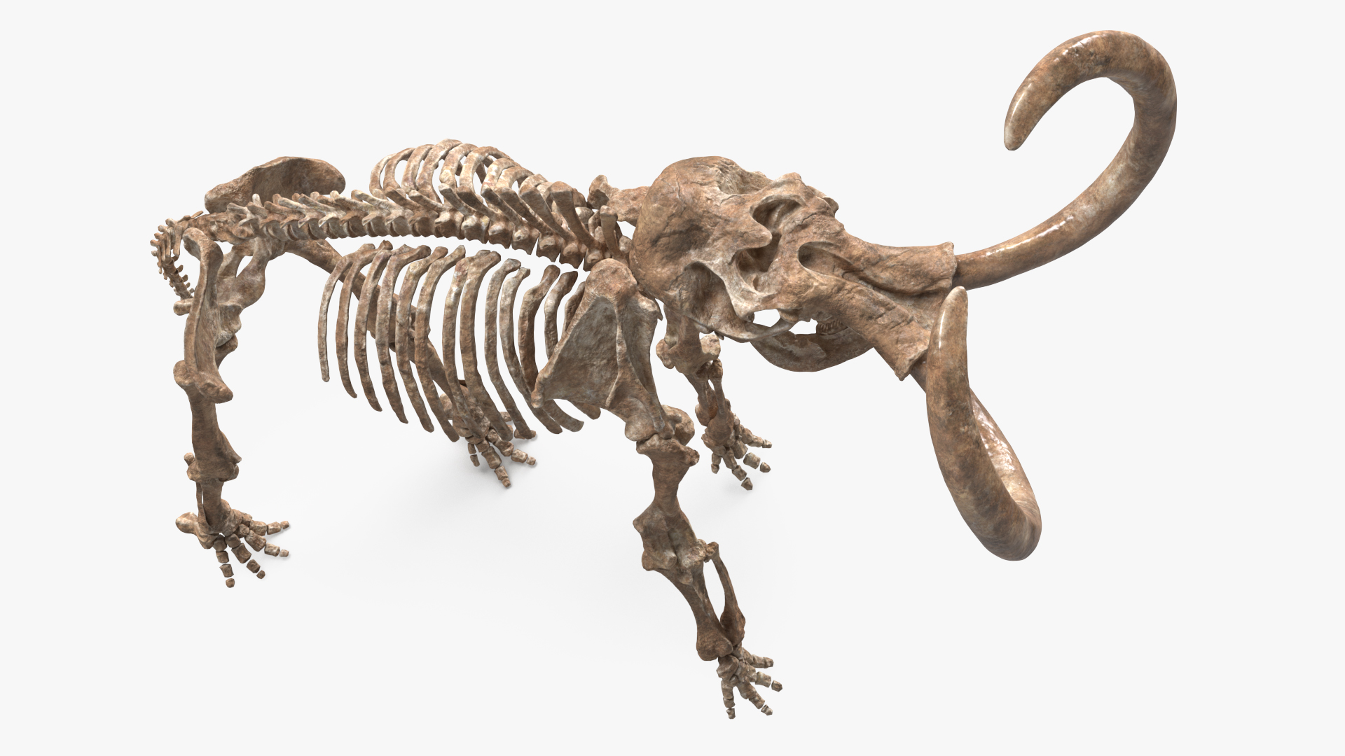 3D model Mammoth Skeleton Old Bones Standing Pose
