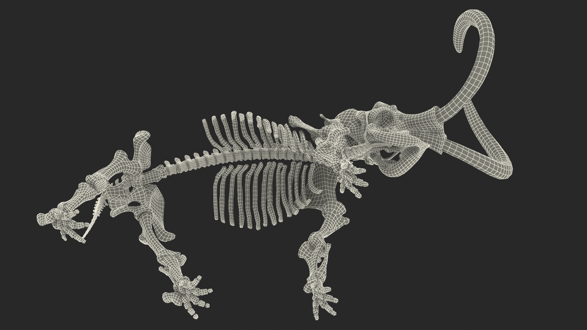 3D model Mammoth Skeleton Old Bones Standing Pose