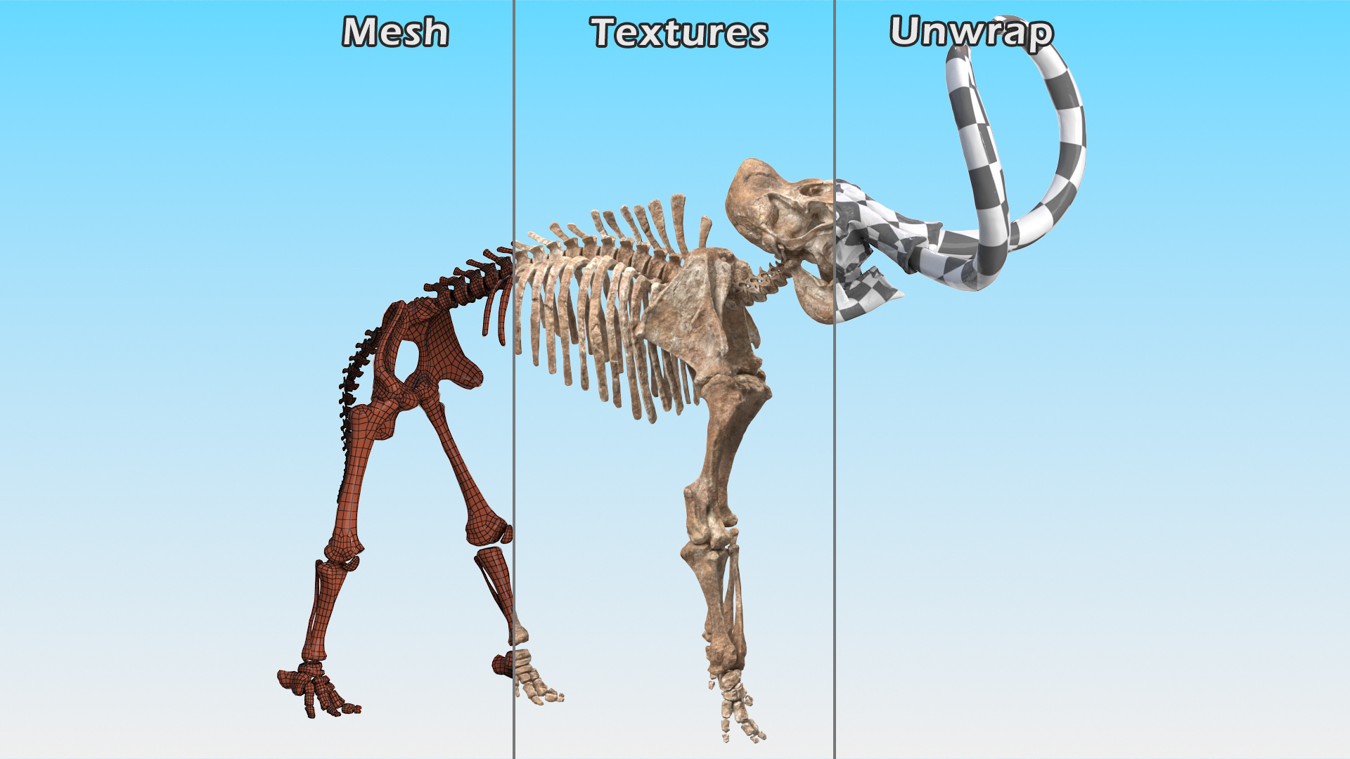 3D model Mammoth Skeleton Old Bones Standing Pose