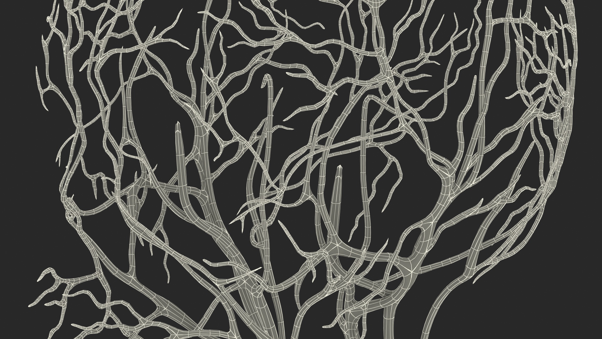 Human Cardiovascular System Full Body 3D
