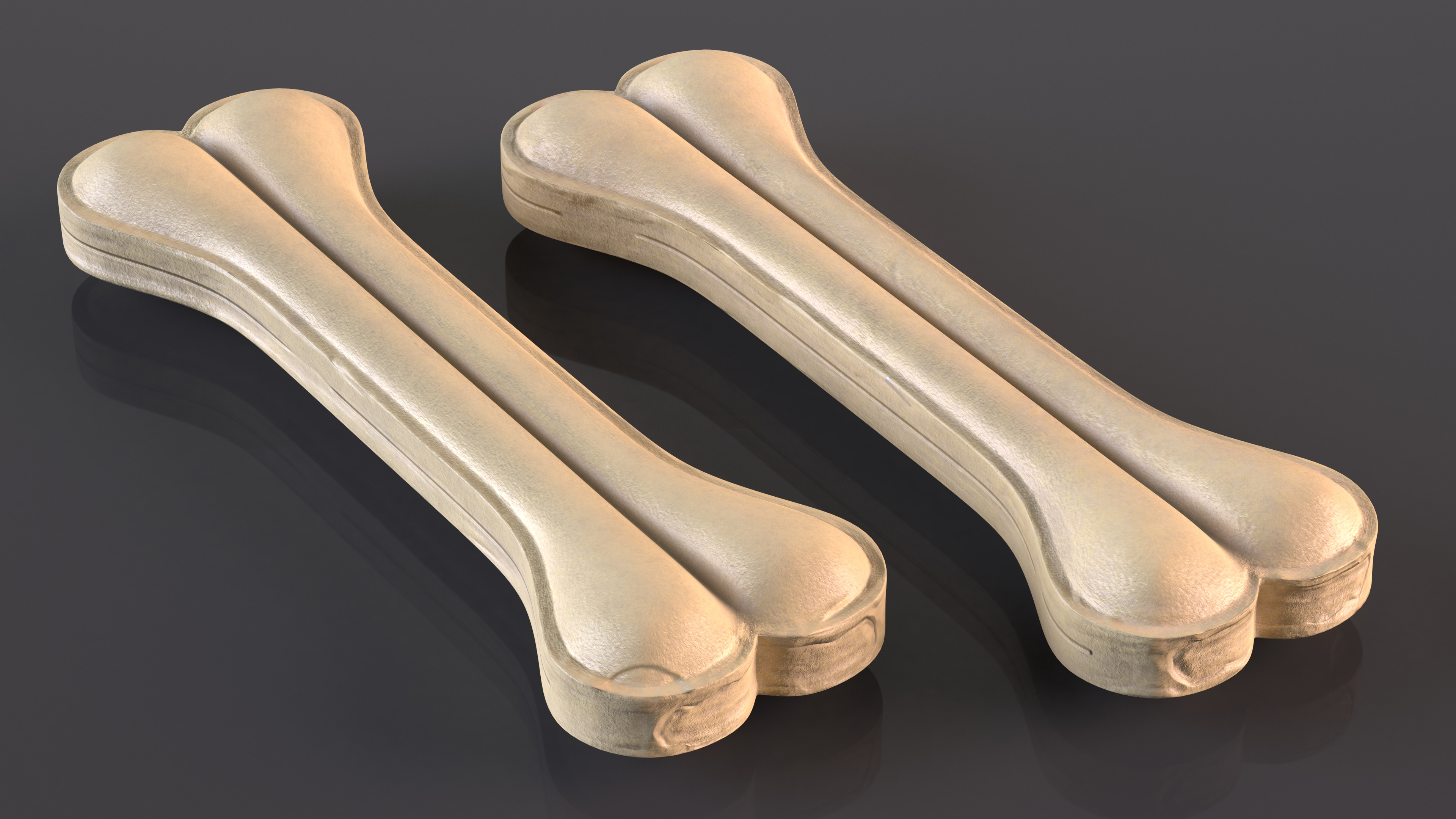 3D model Large Dog Chew Bone Light