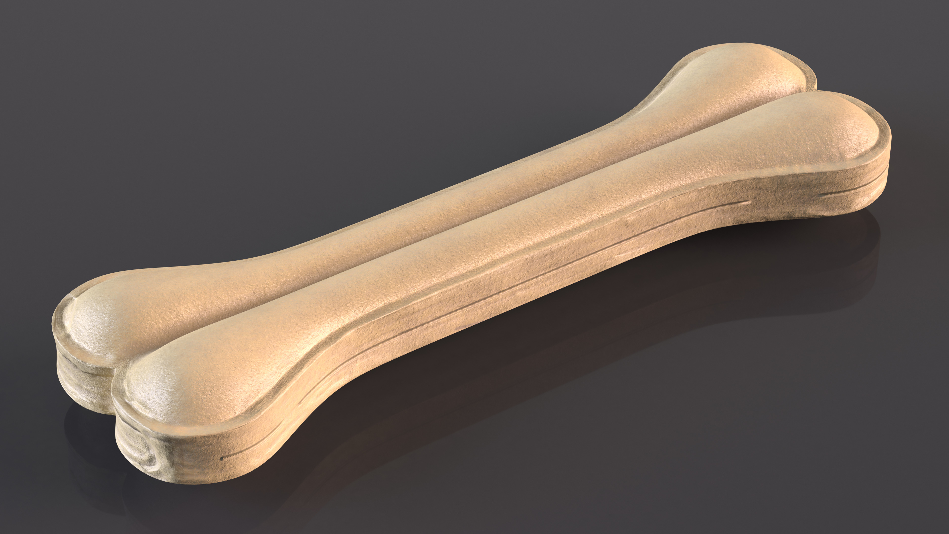 3D model Large Dog Chew Bone Light