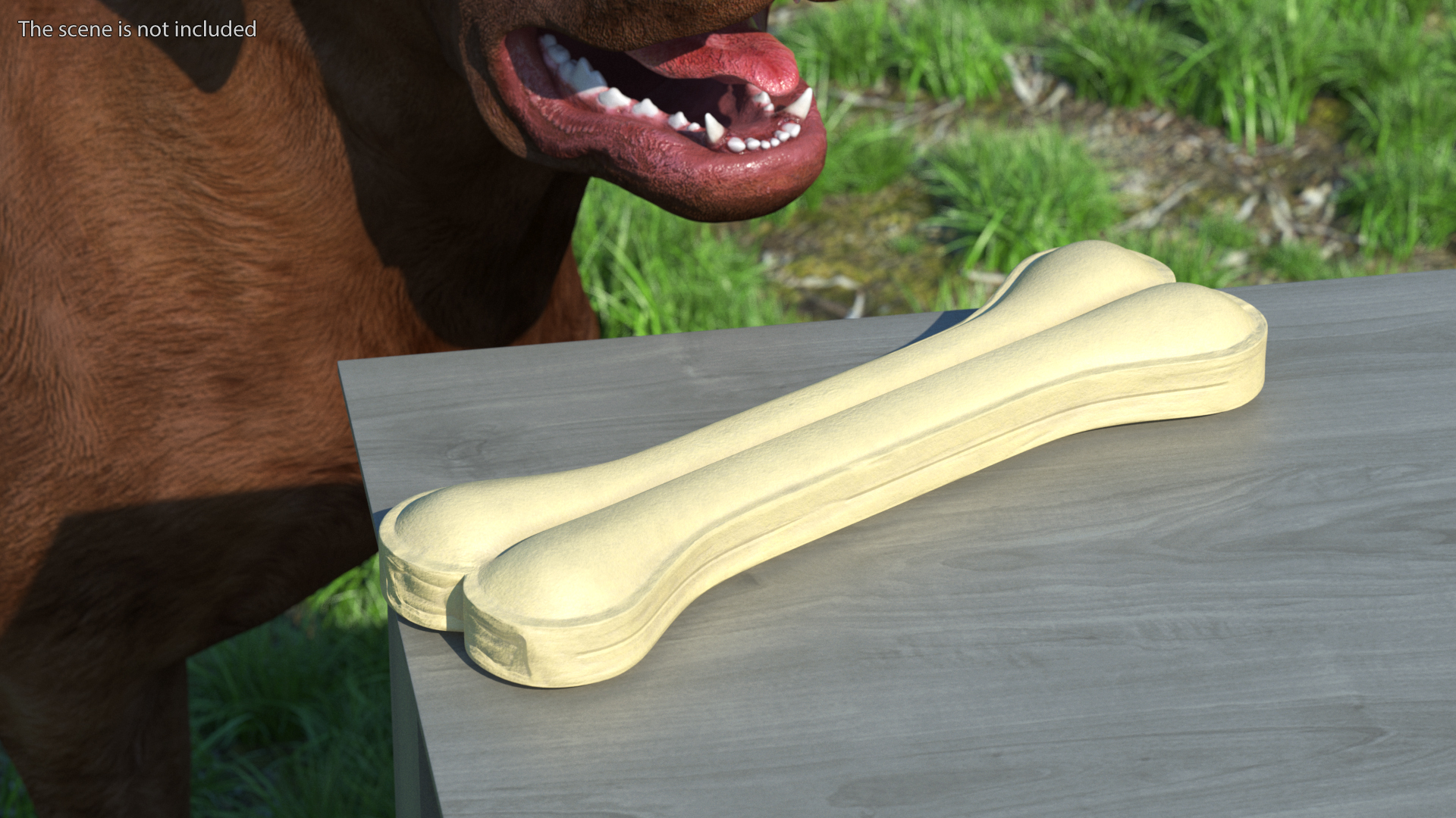 3D model Large Dog Chew Bone Light