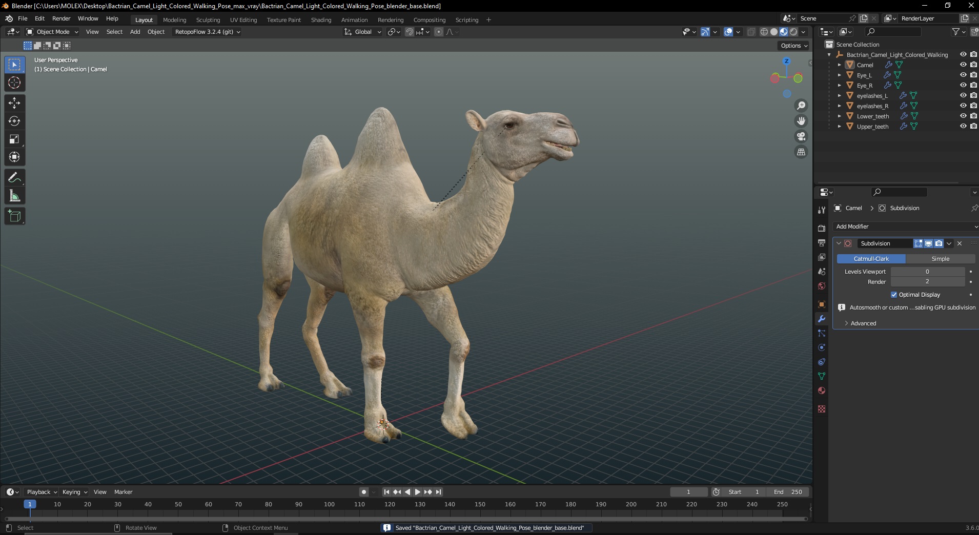 3D Bactrian Camel Light Colored Walking Pose