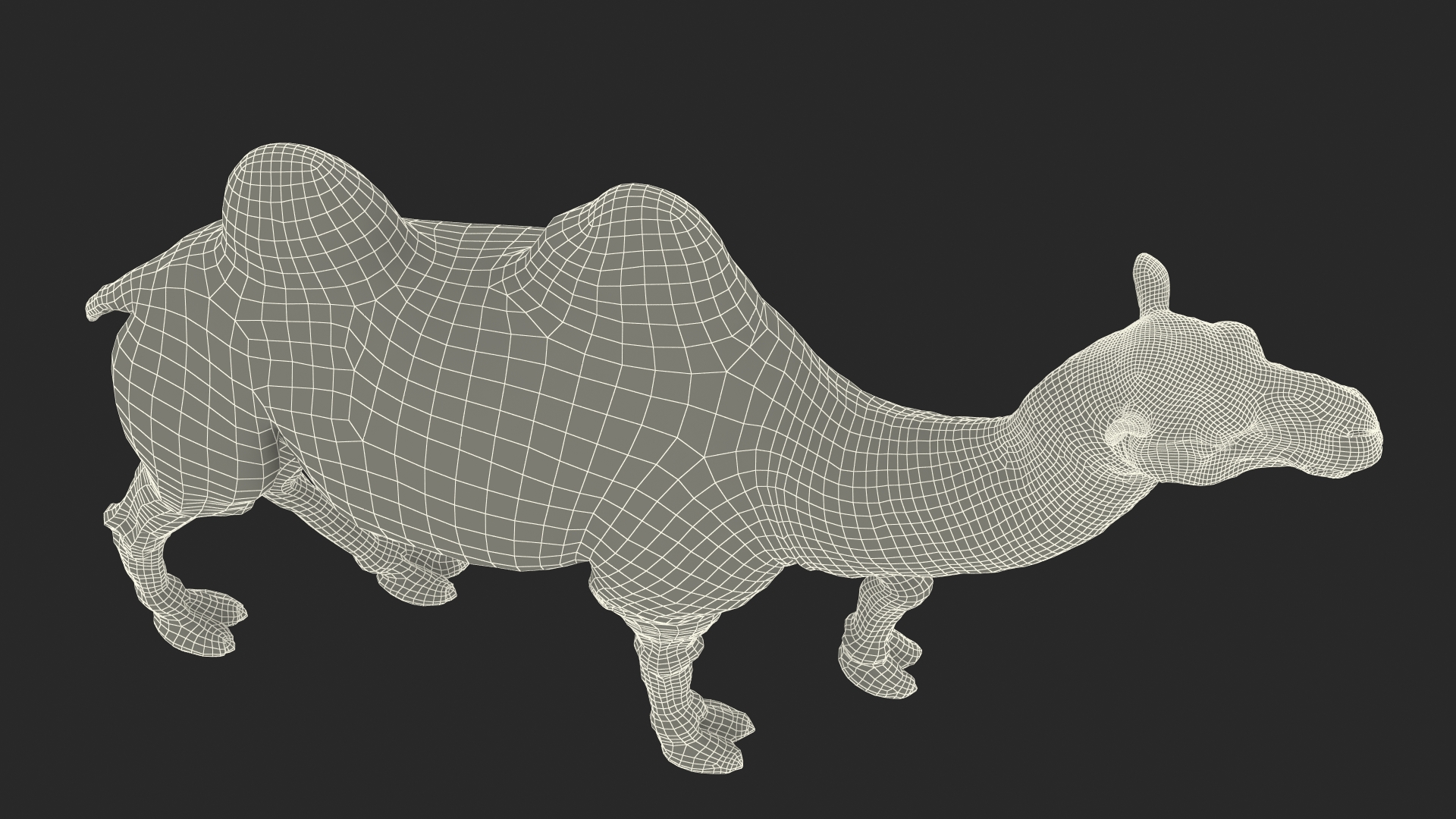 3D Bactrian Camel Light Colored Walking Pose