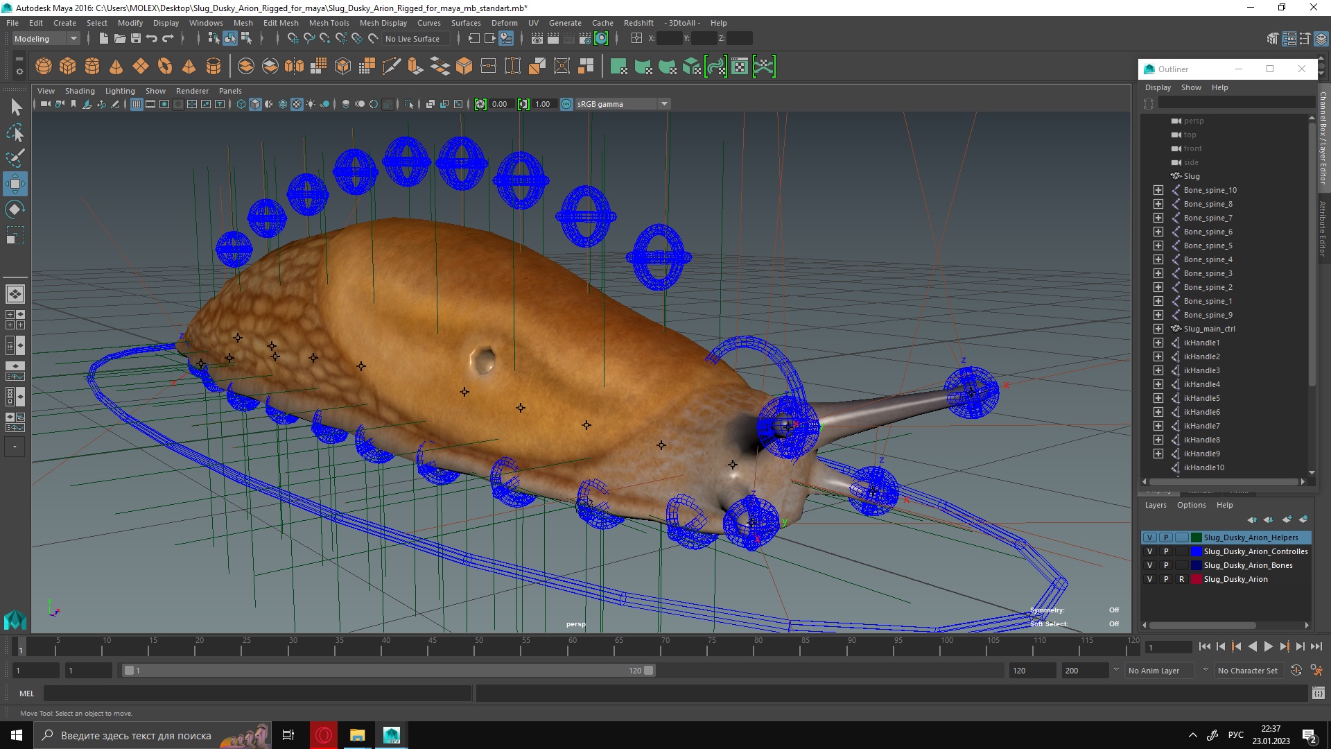 Slug Dusky Arion Rigged for Maya 3D