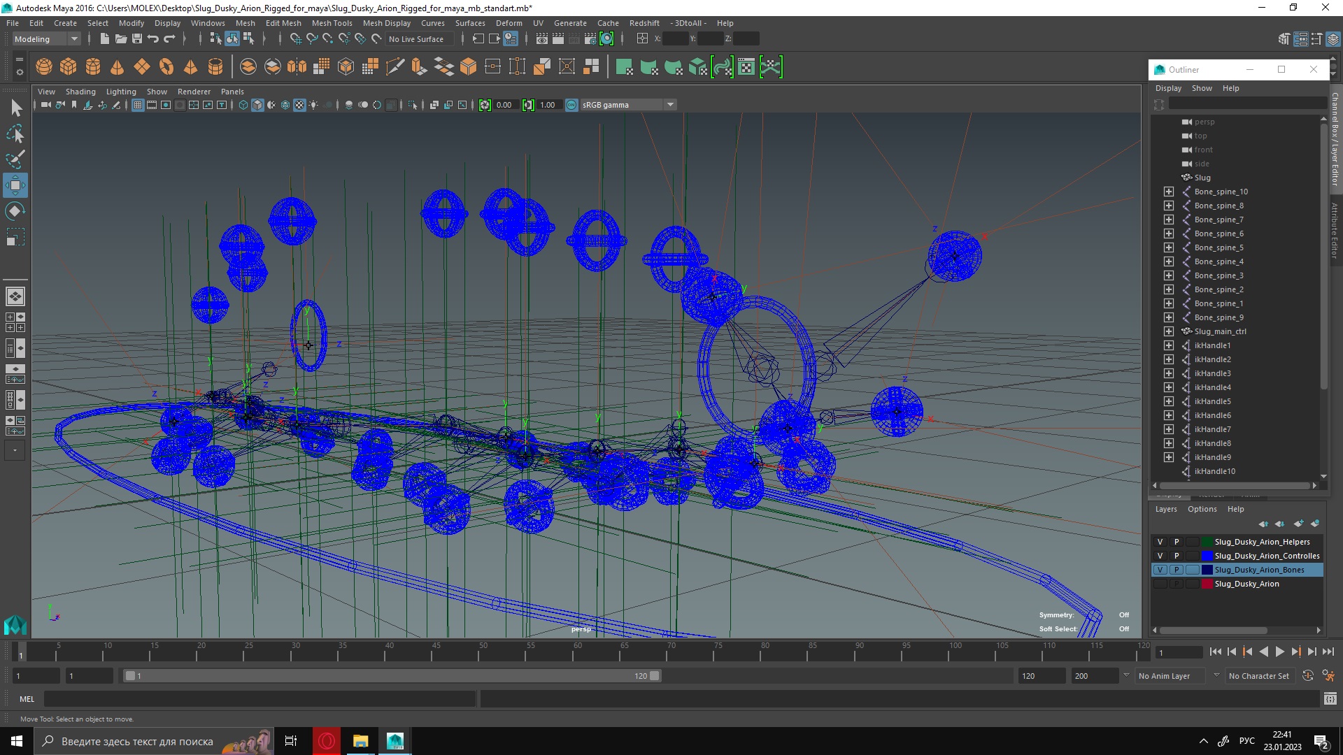 Slug Dusky Arion Rigged for Maya 3D