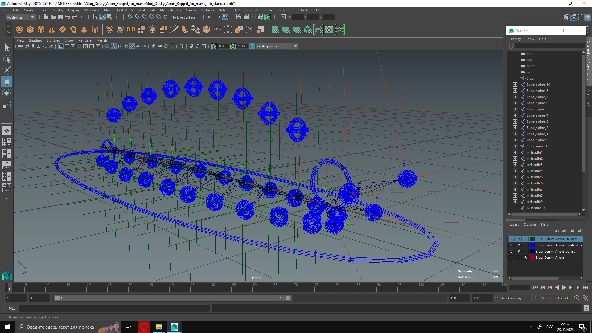 Slug Dusky Arion Rigged for Maya 3D