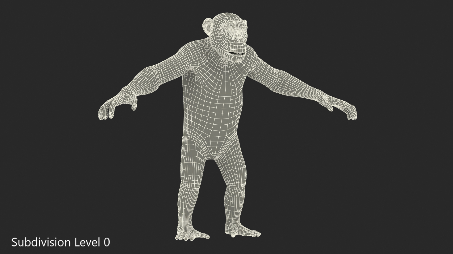 Chimpanzee T-Pose Light Fur 3D