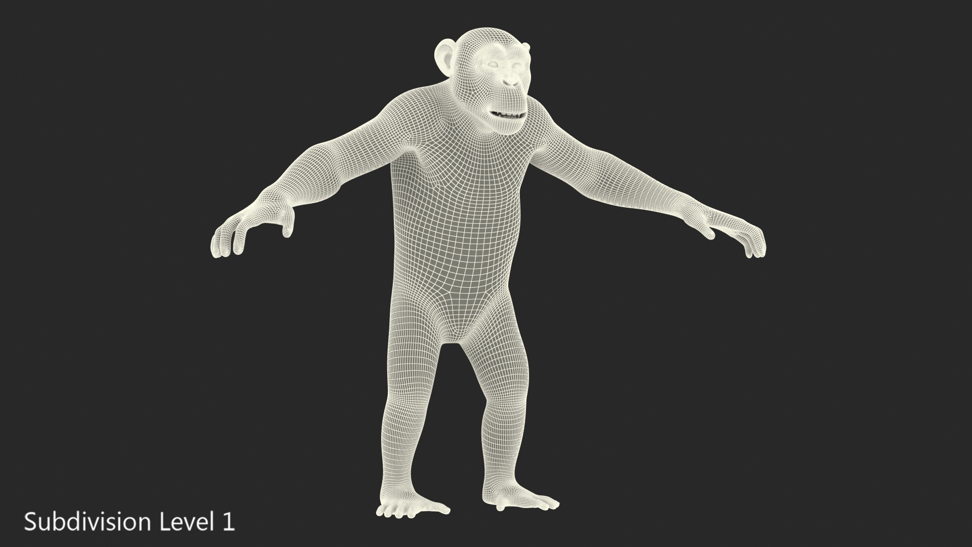 Chimpanzee T-Pose Light Fur 3D
