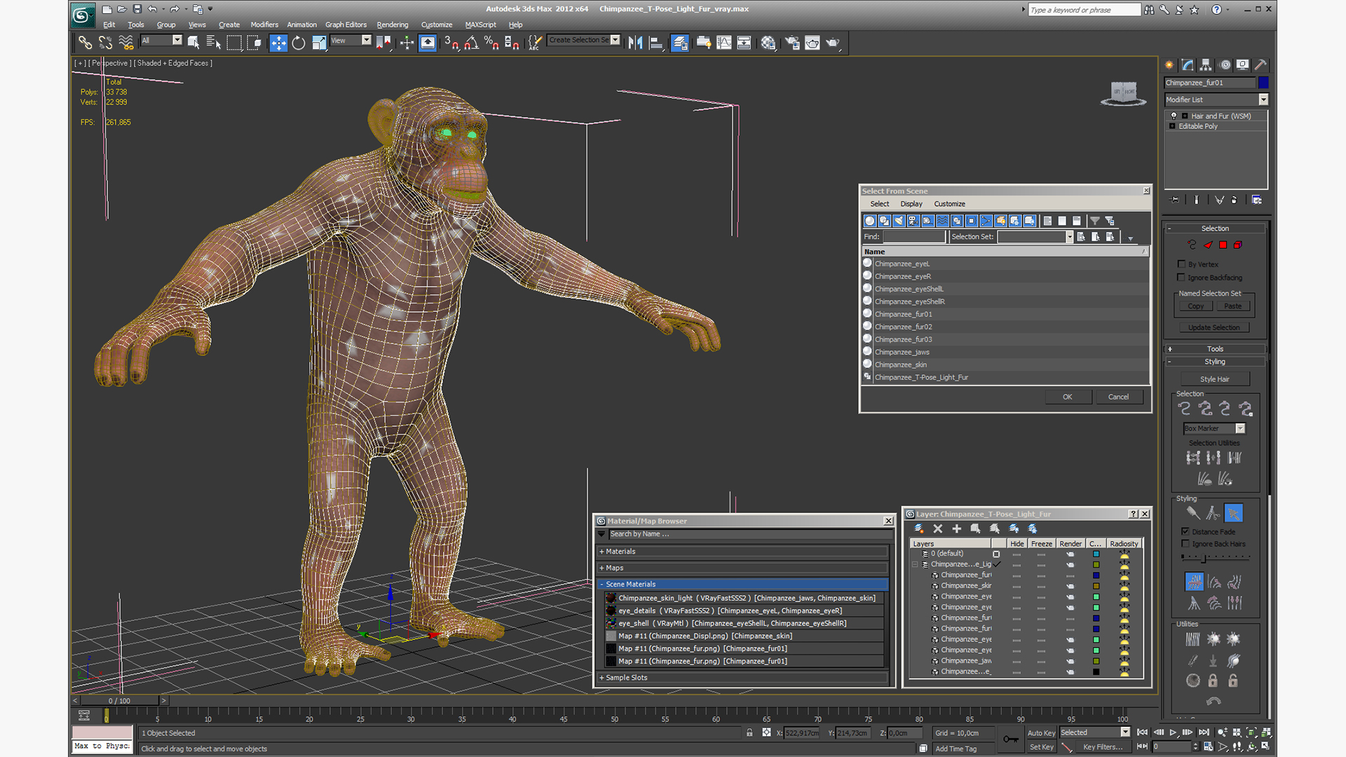 Chimpanzee T-Pose Light Fur 3D