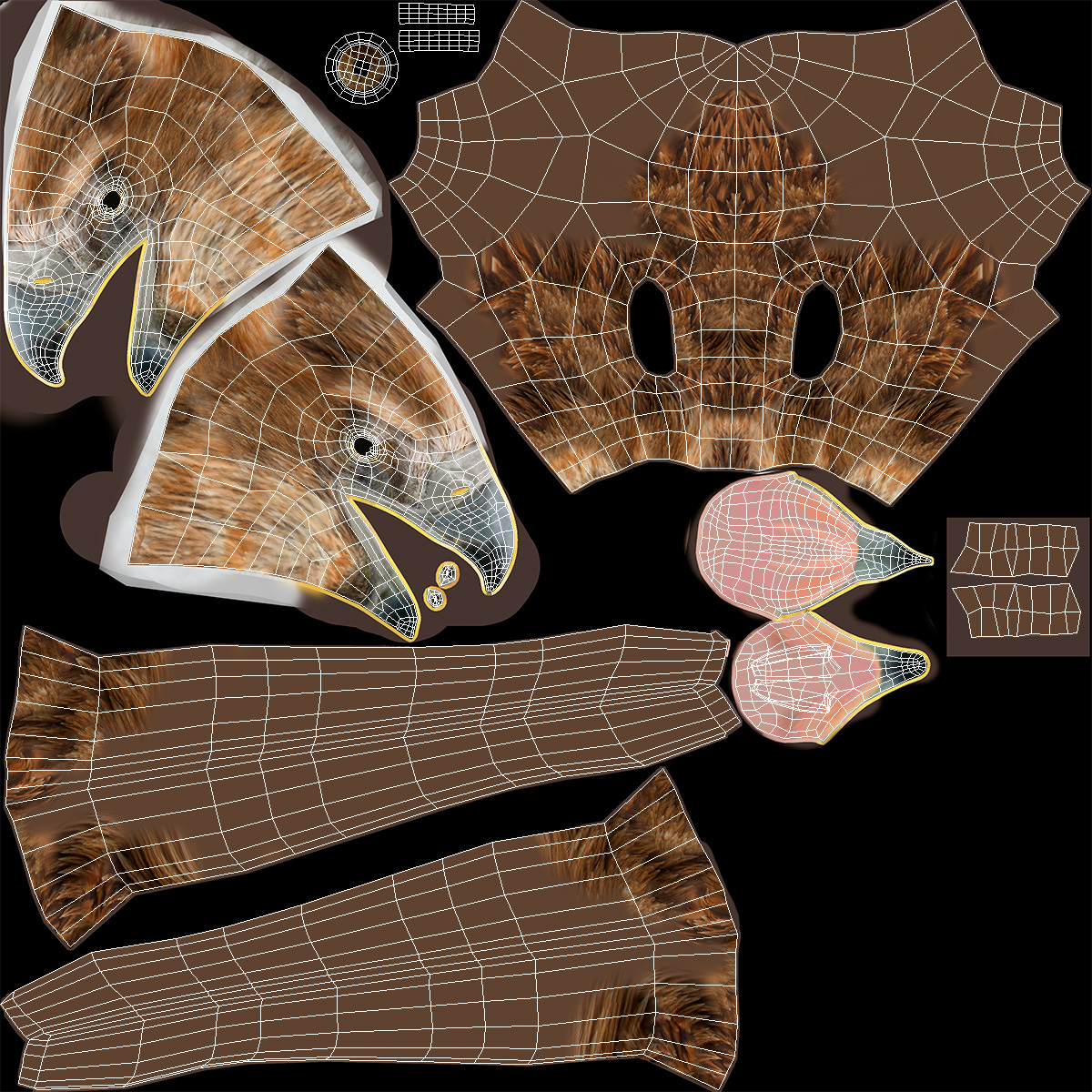 Aquila Gurneyi Eagle Flying 3D