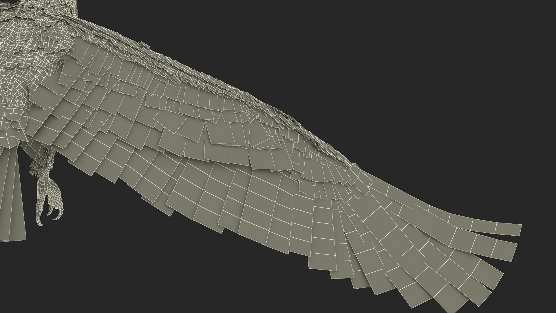 Aquila Gurneyi Eagle Flying 3D
