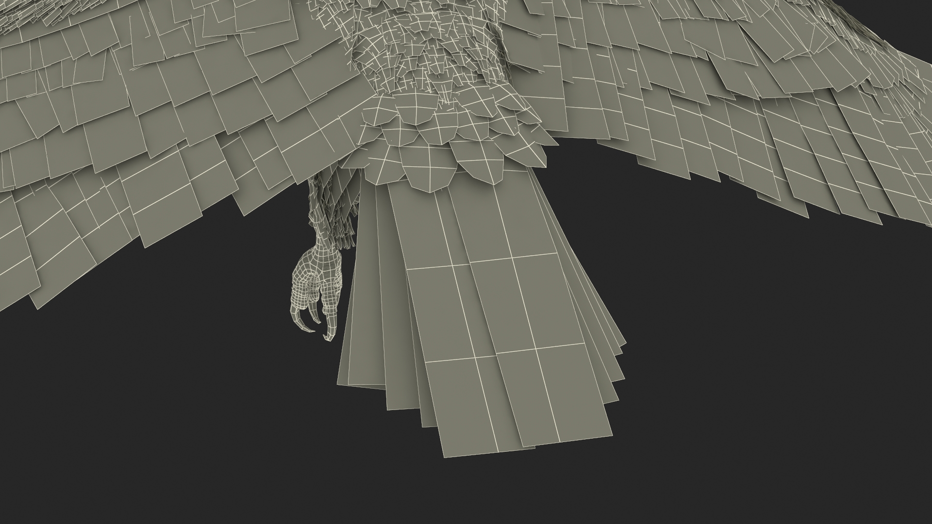 Aquila Gurneyi Eagle Flying 3D