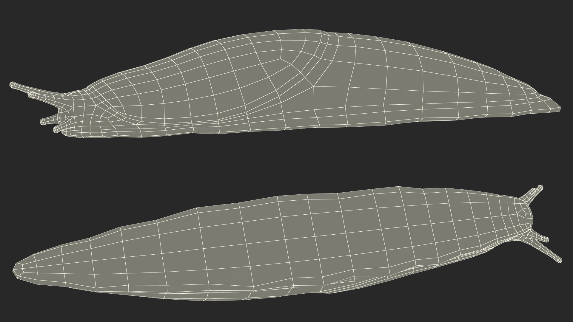 3D Great Slug Rigged for Modo
