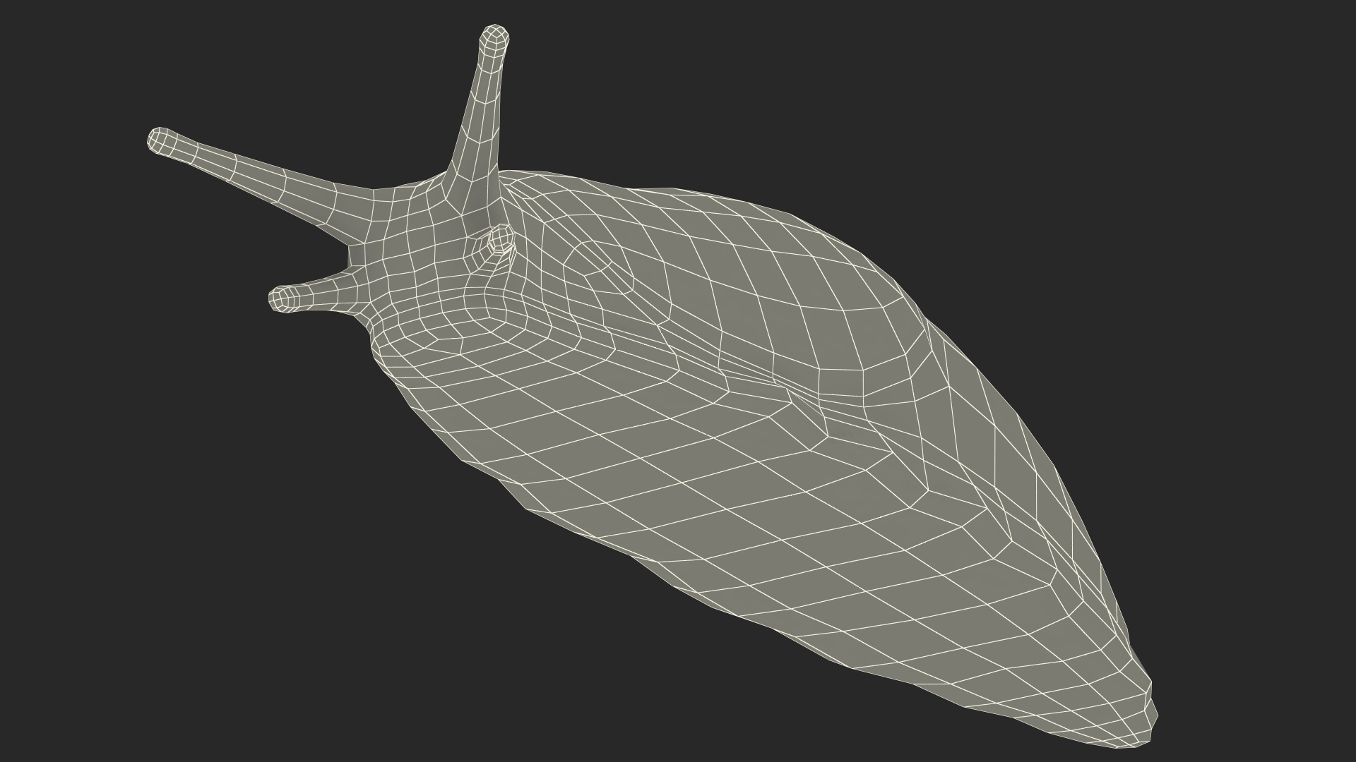 3D Great Slug Rigged for Modo