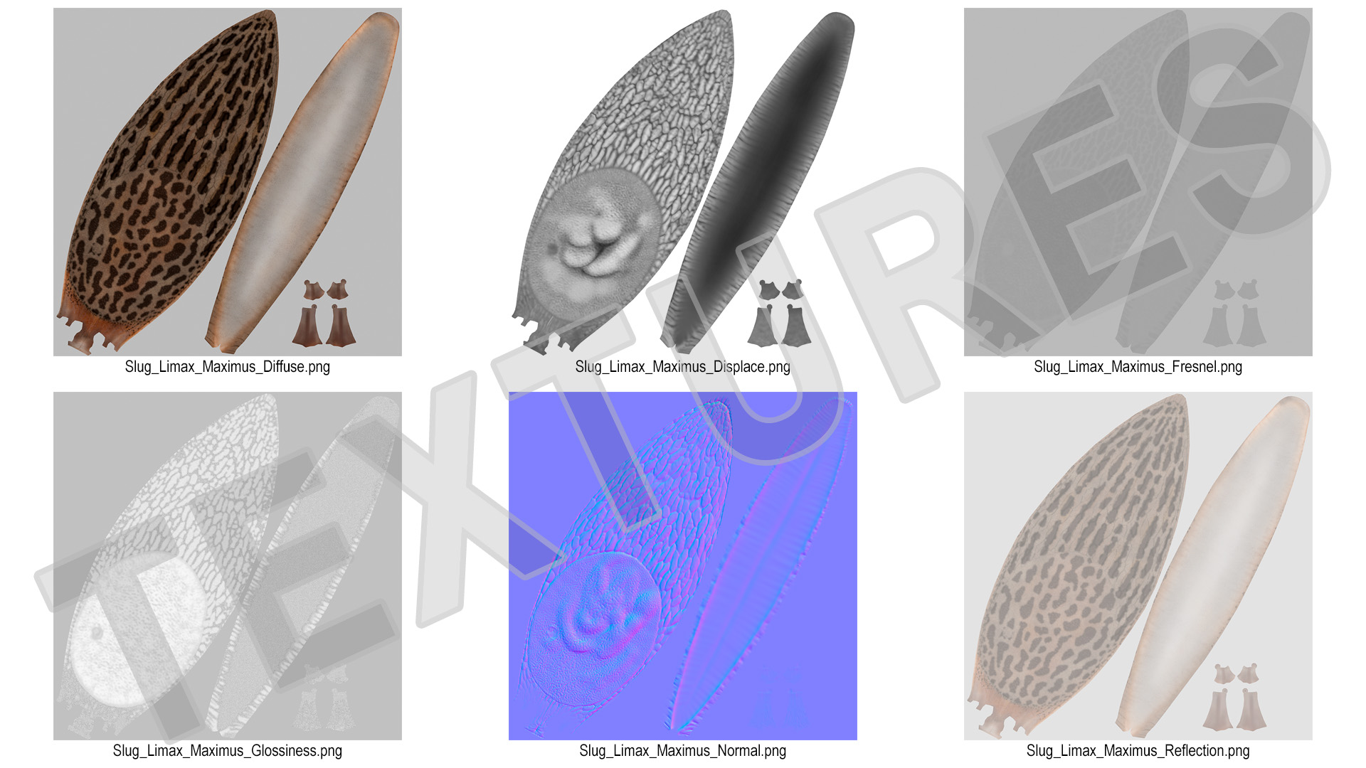 3D Great Slug Rigged for Modo
