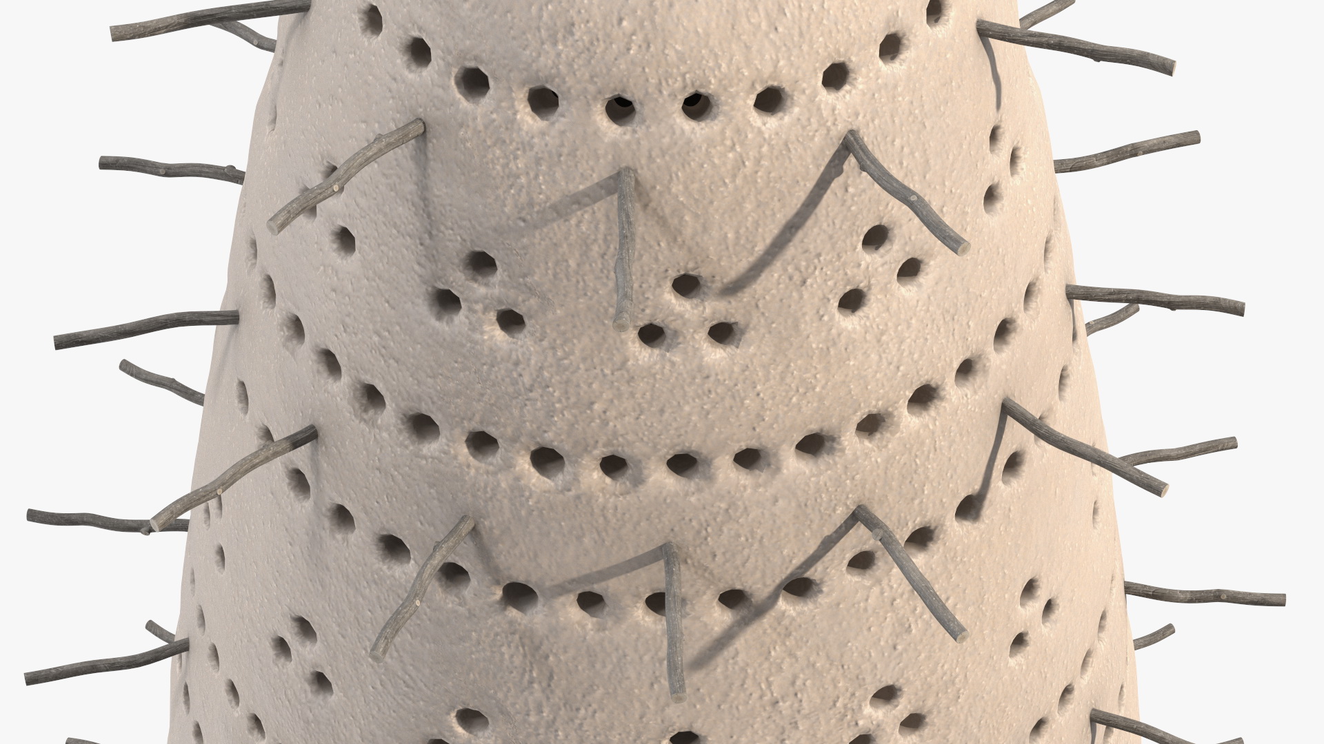 3D Pigeon Tower White model
