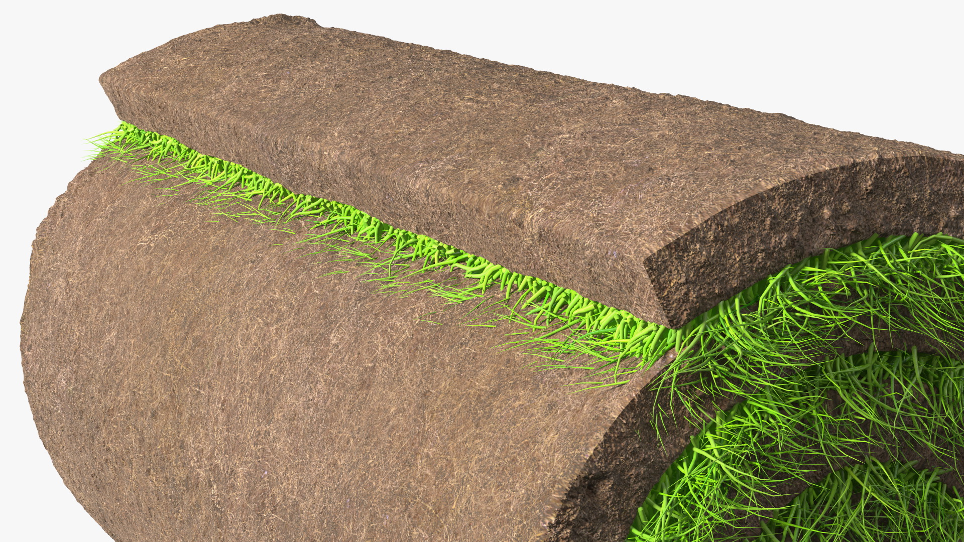 3D model Lawn Turf Roll Folded fur