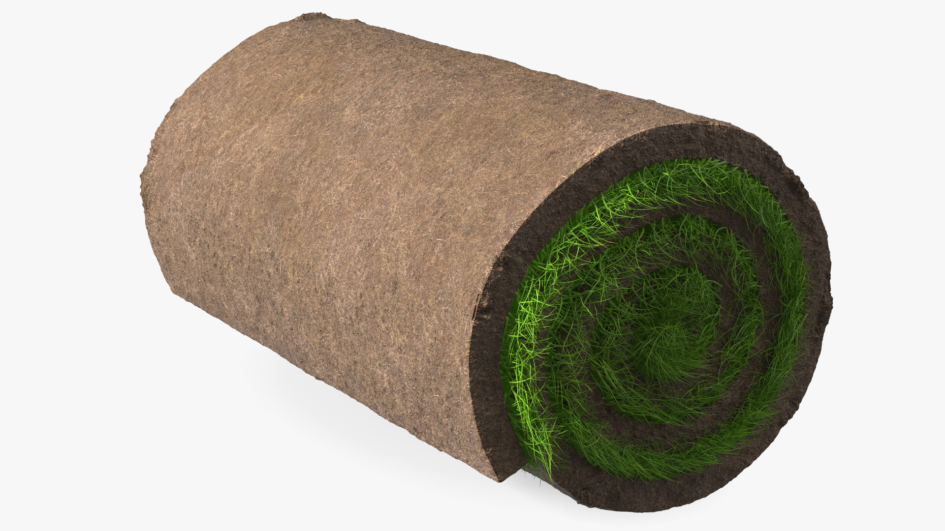 3D model Lawn Turf Roll Folded fur