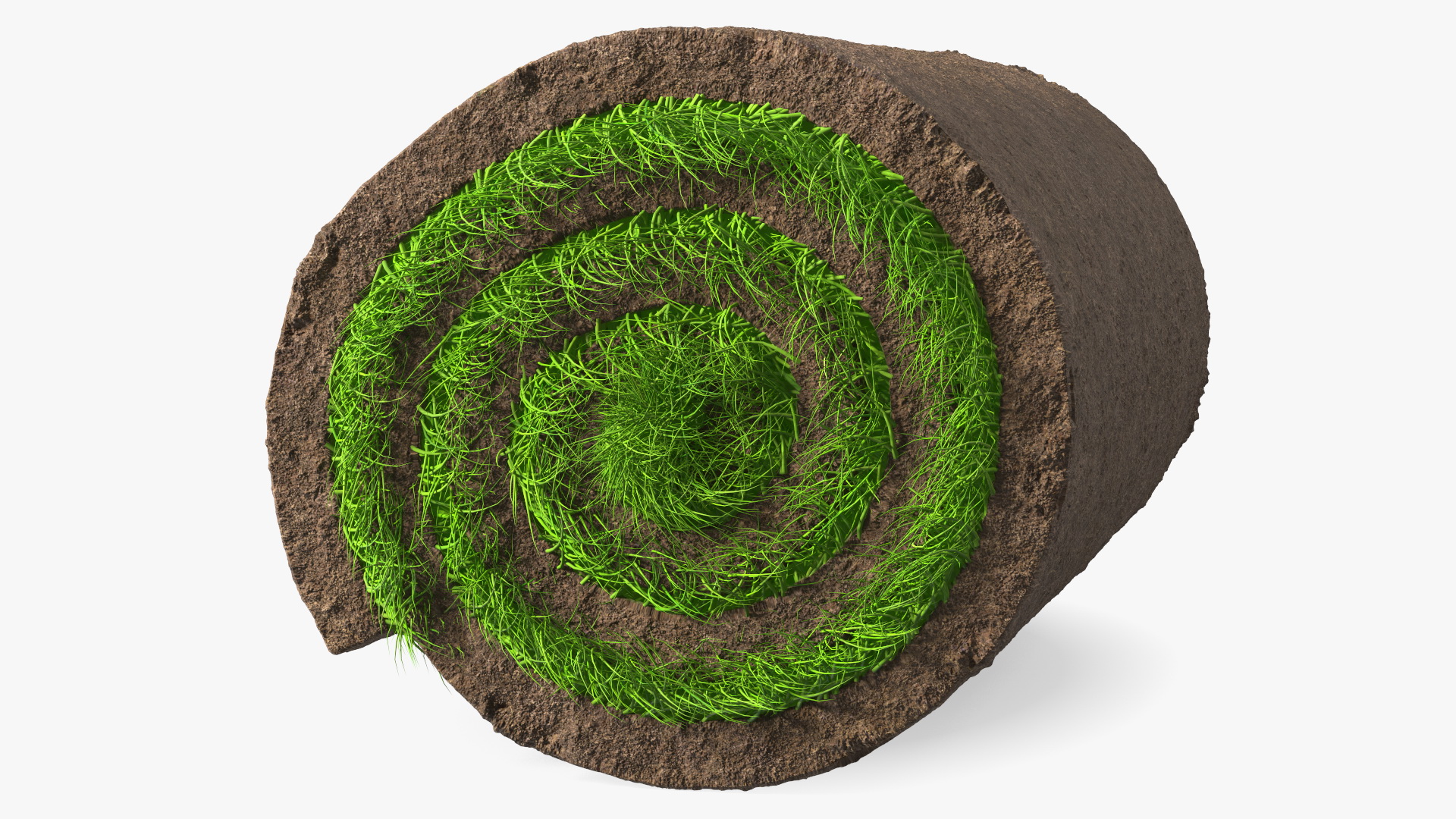 3D model Lawn Turf Roll Folded fur